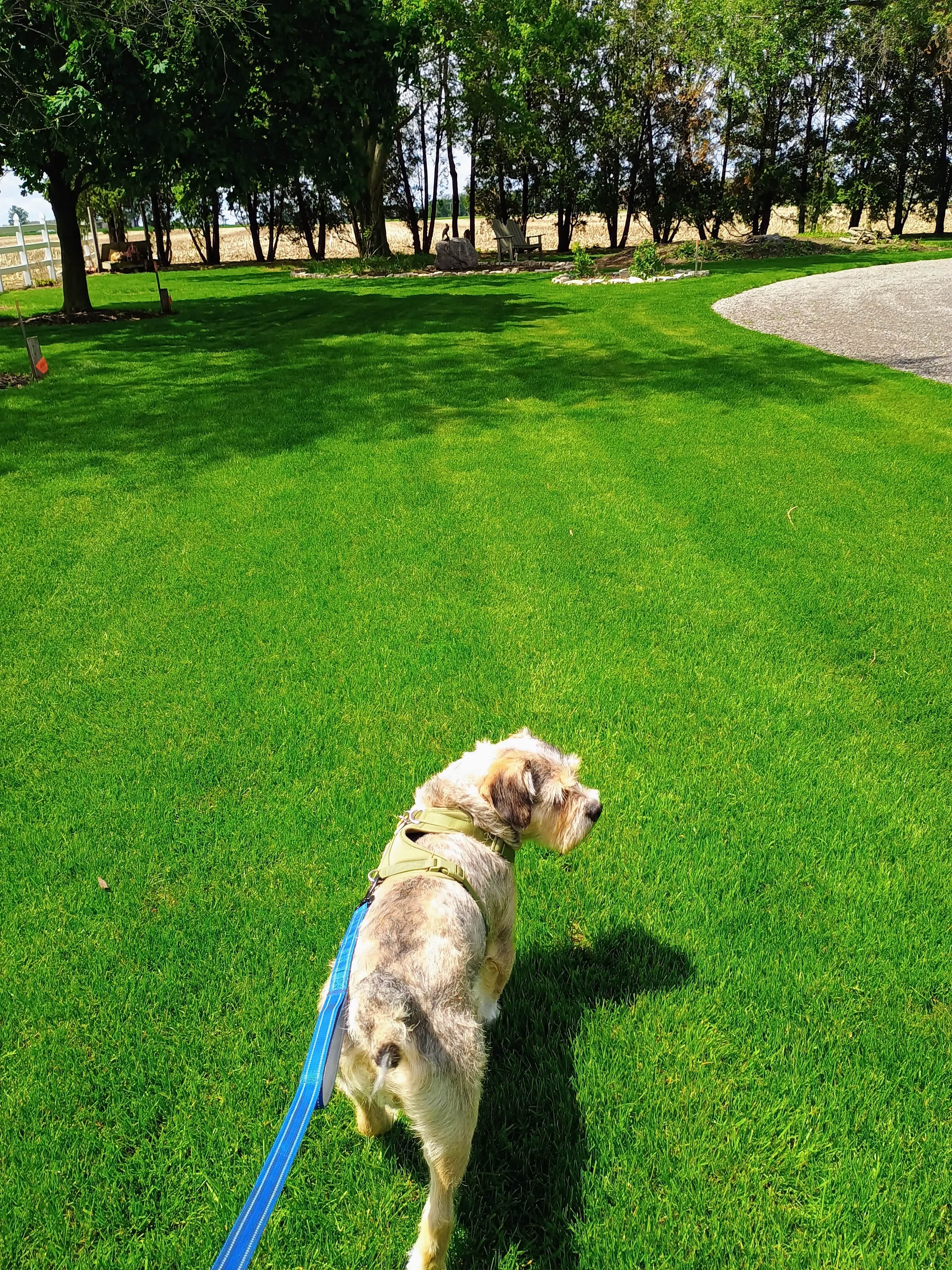 Beautiful grounds