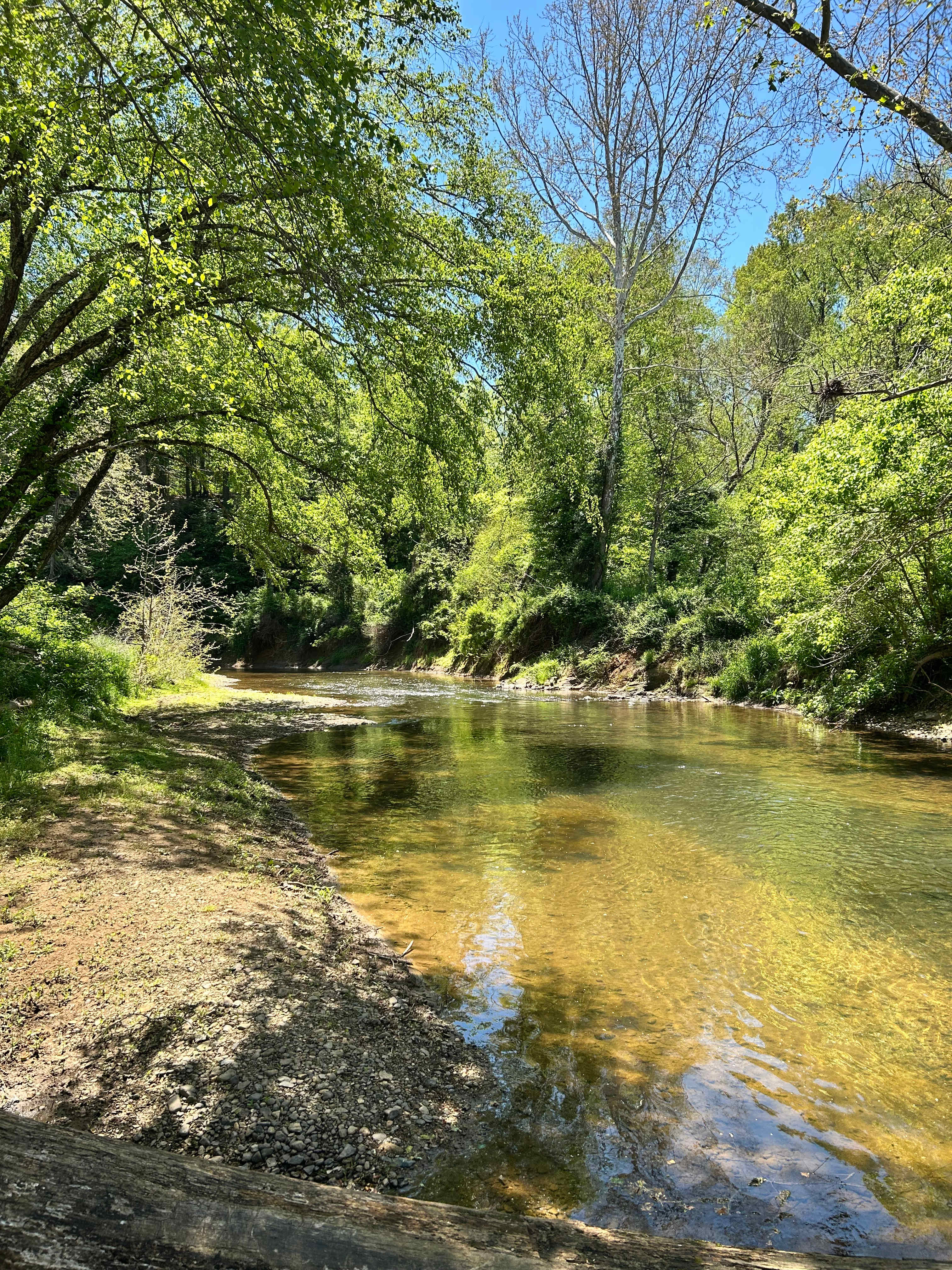 Private Paradise on Rivers Bend