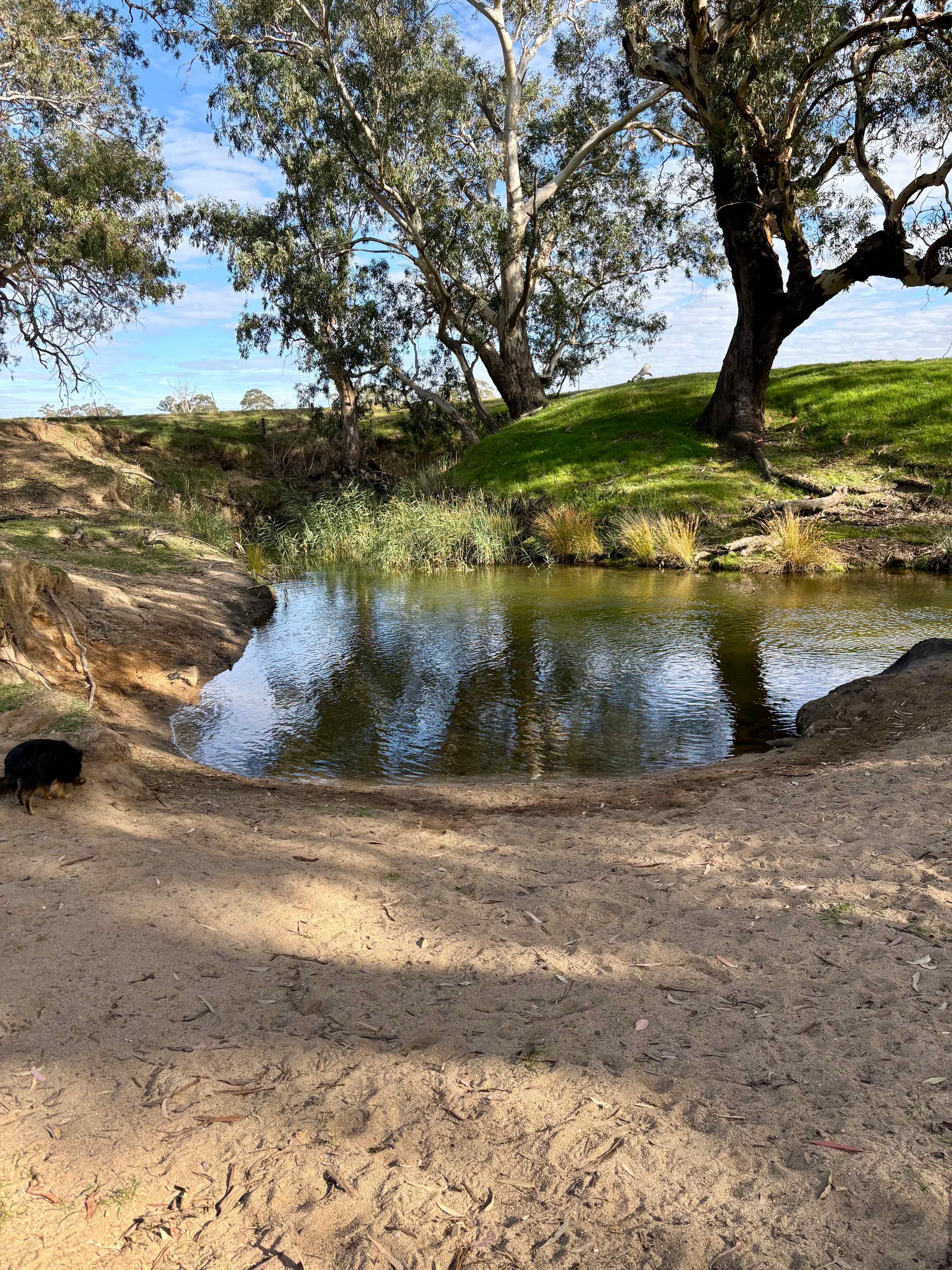 Easy water access