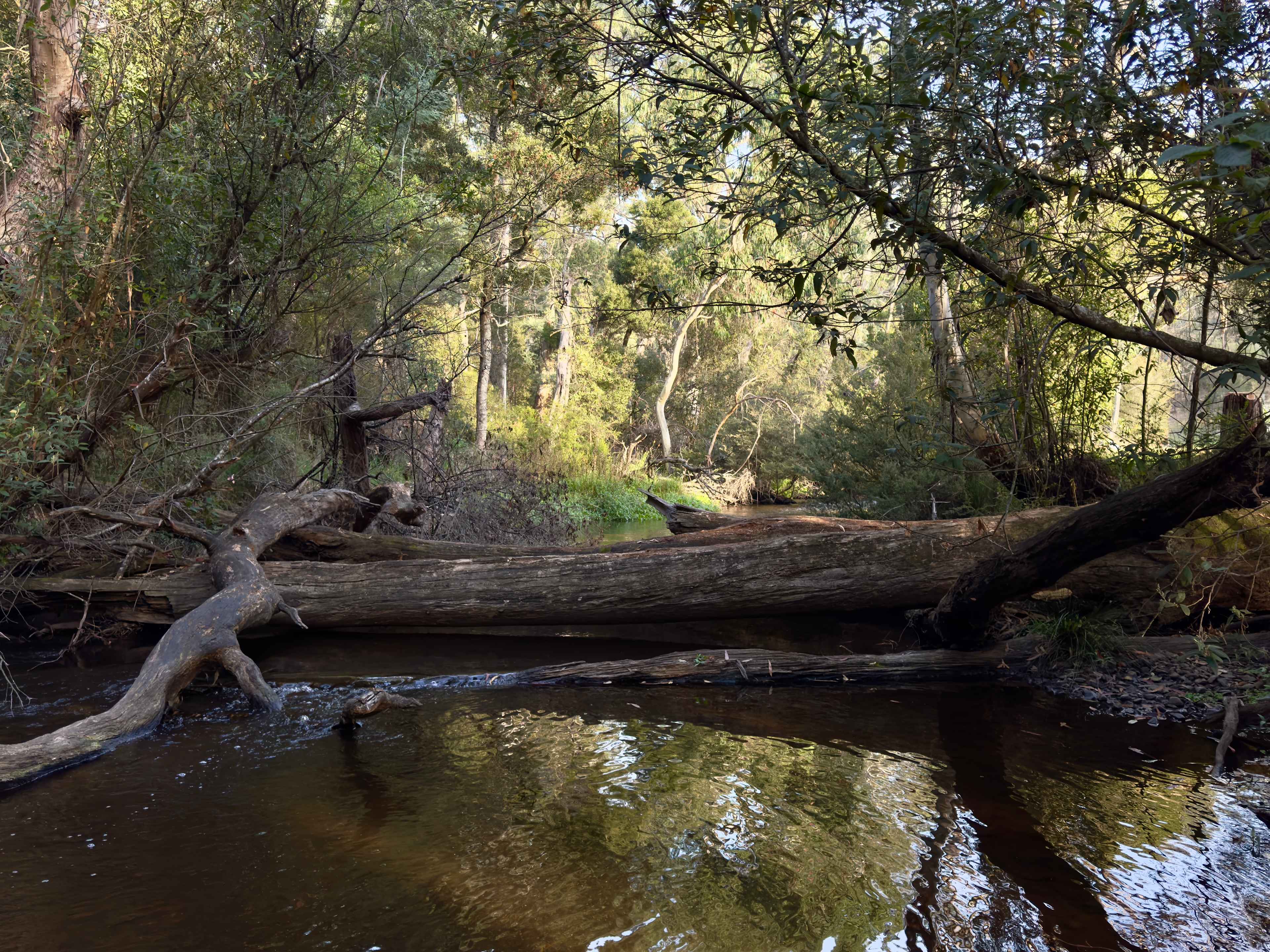 River access at Site 1