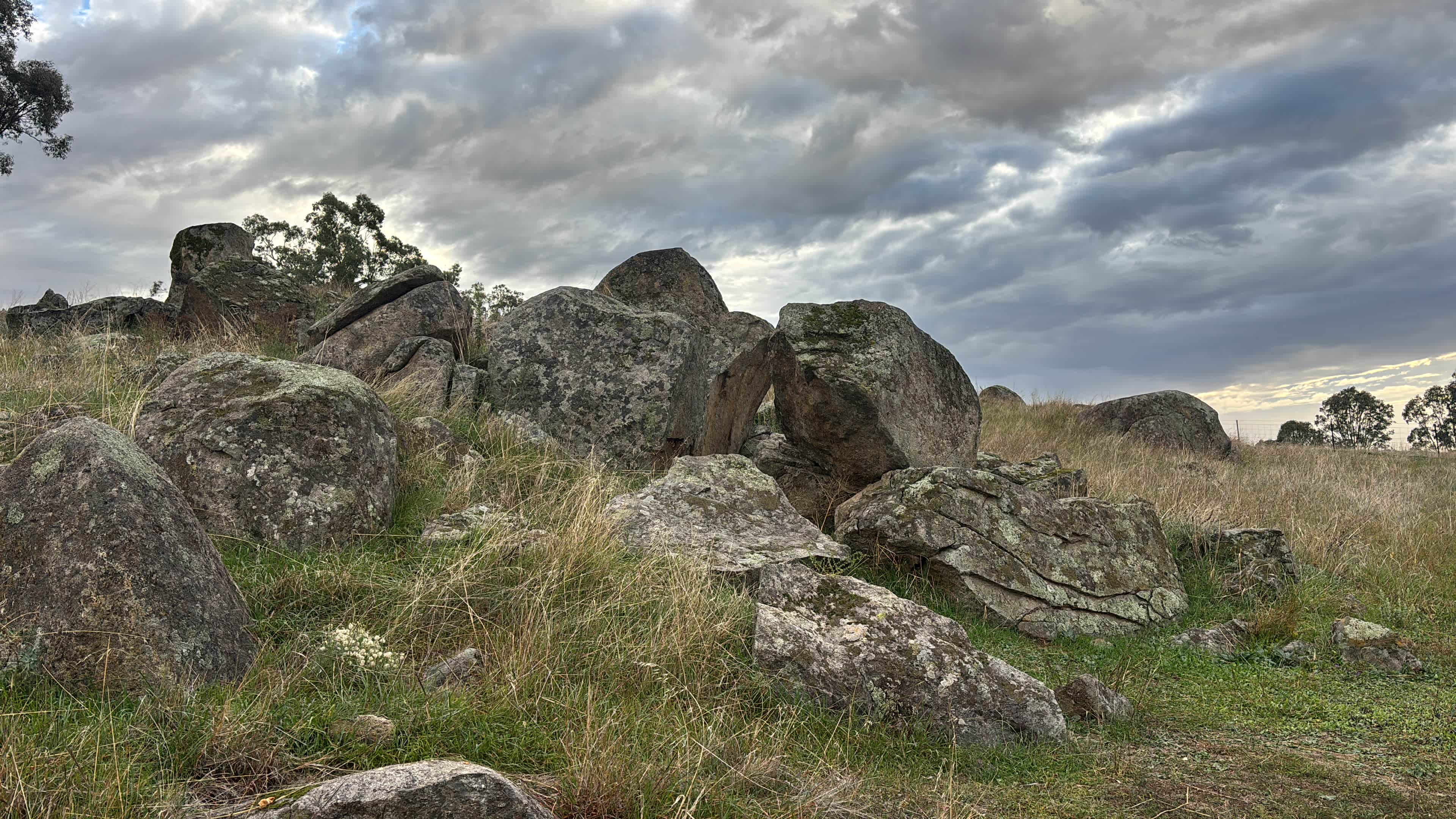 Wagga Bundaleer