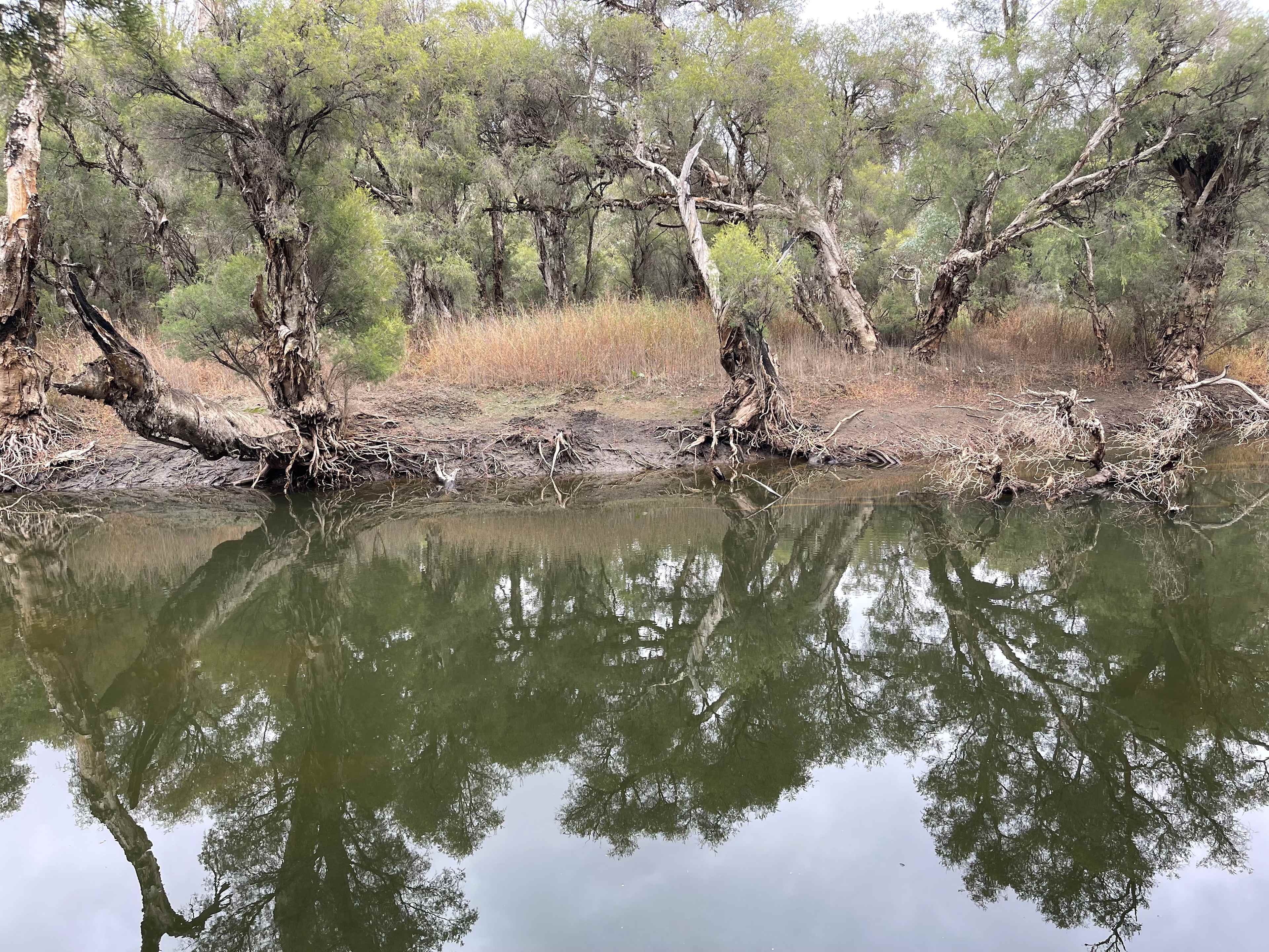 Murray Valley Camping