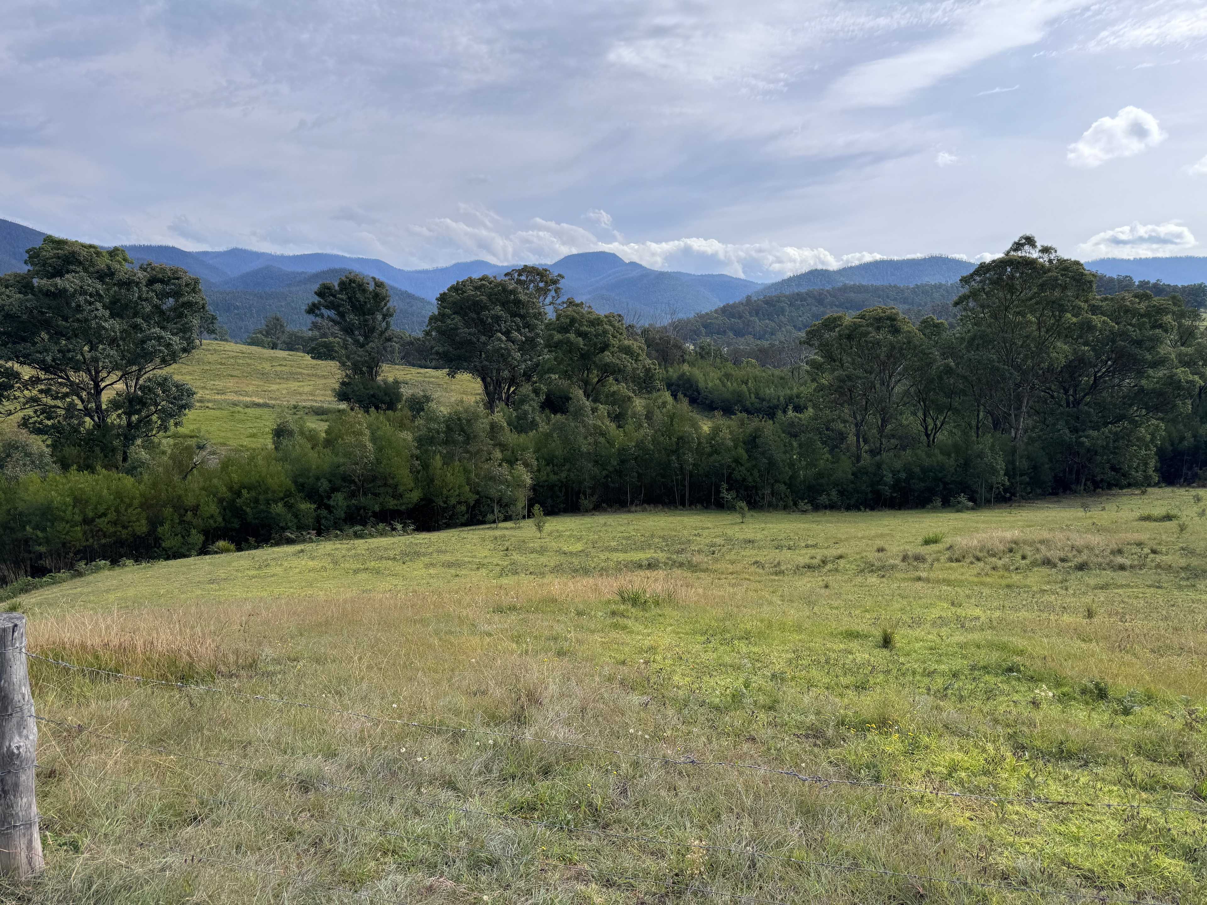 Roagumba Farm