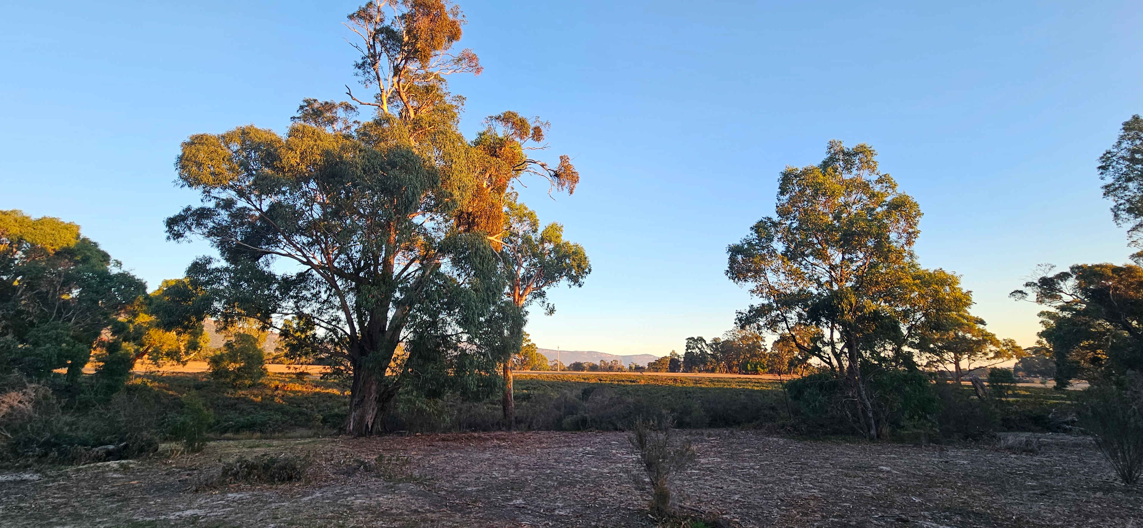 Grampians Old Man Emu Stay
