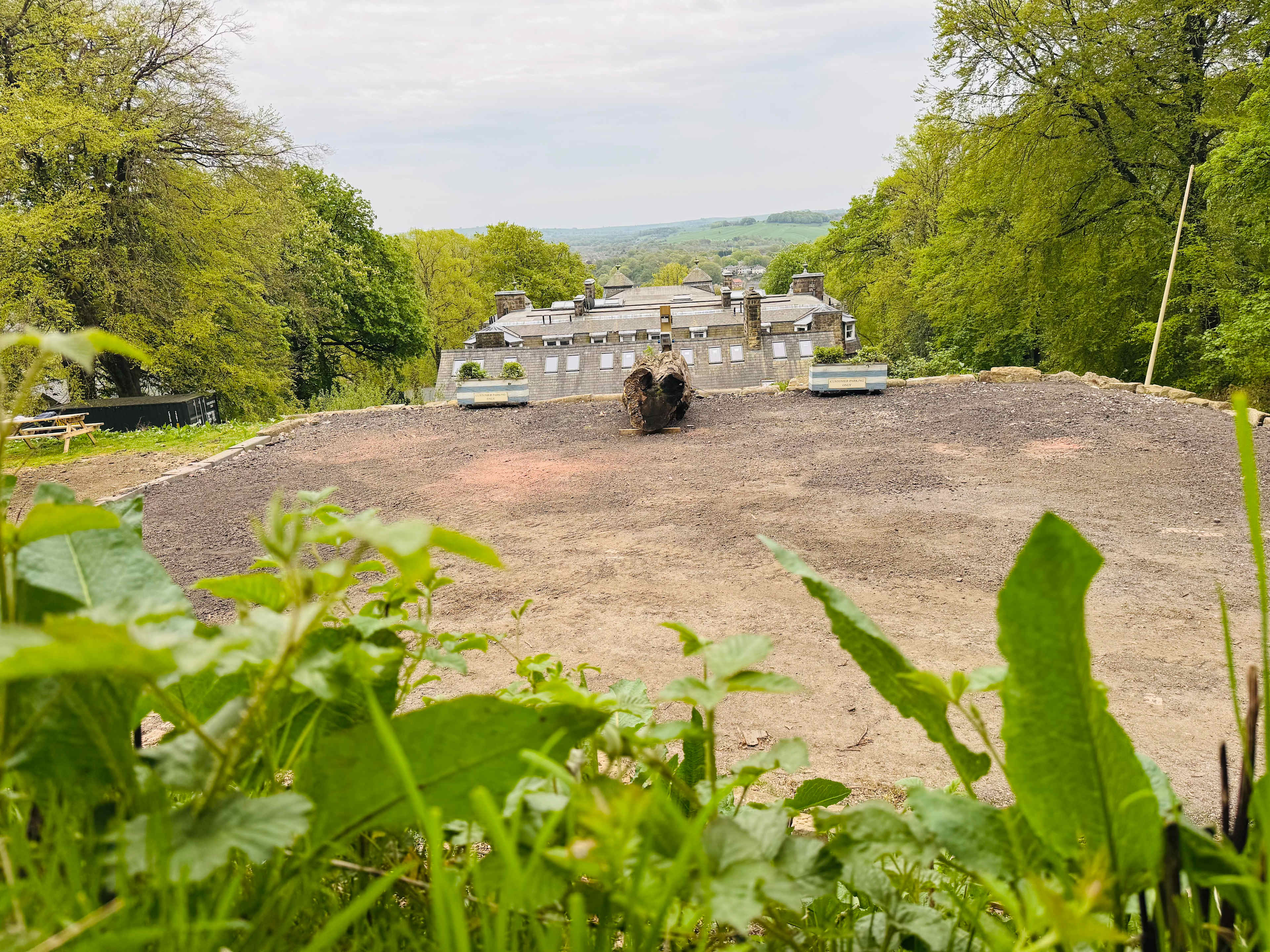 The Duchess's Meadow