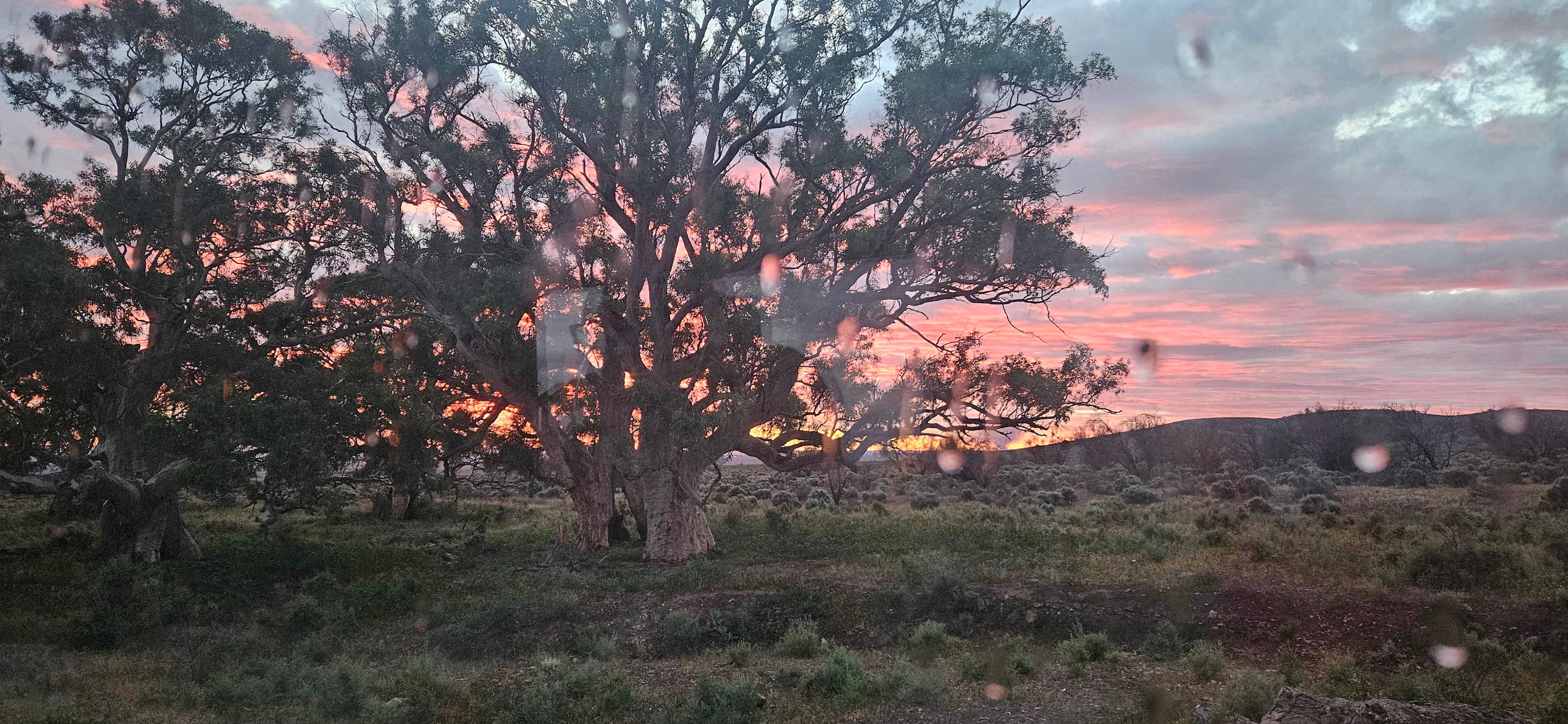 View from Outside our Van windows