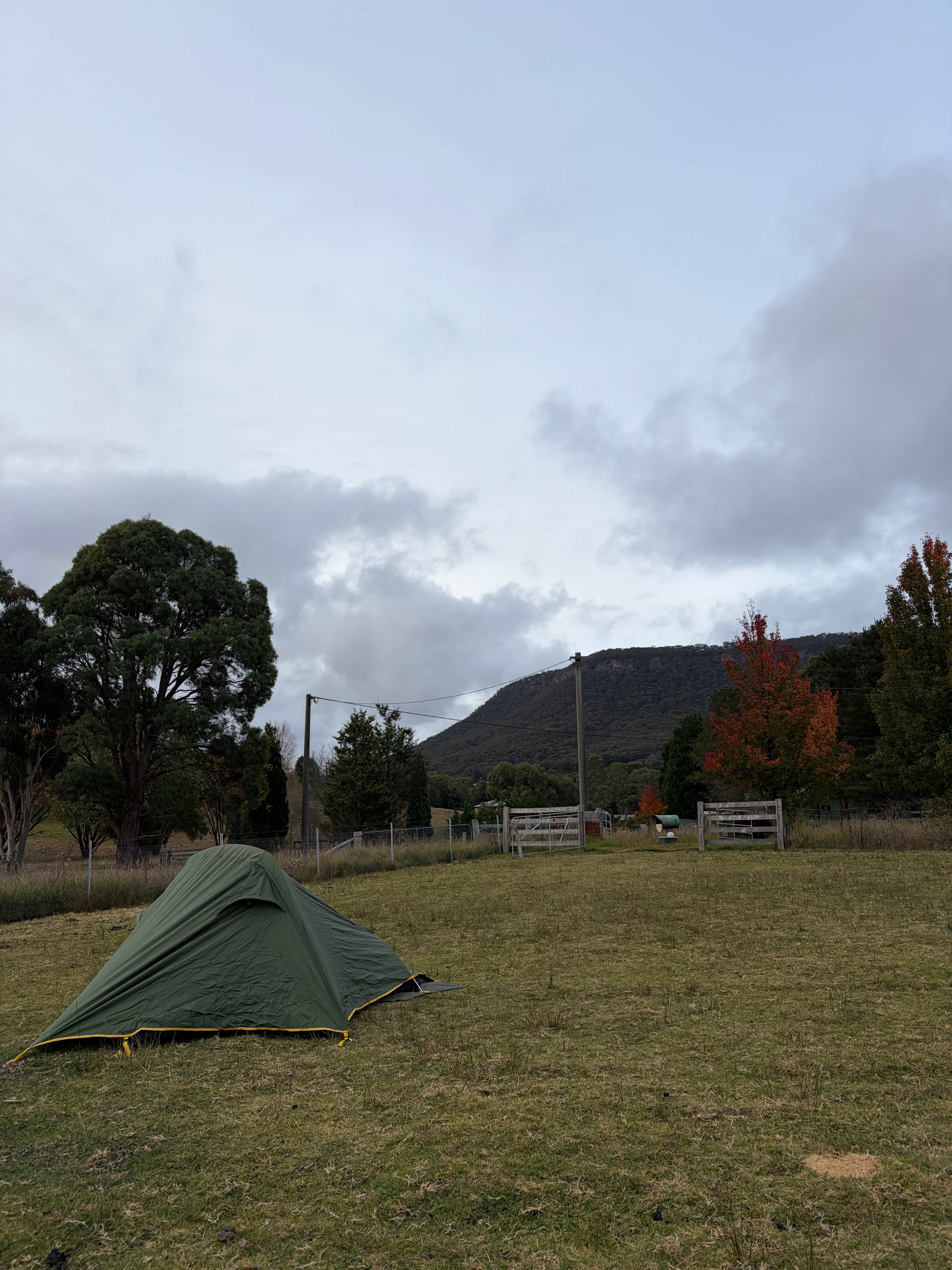 Plain paddock