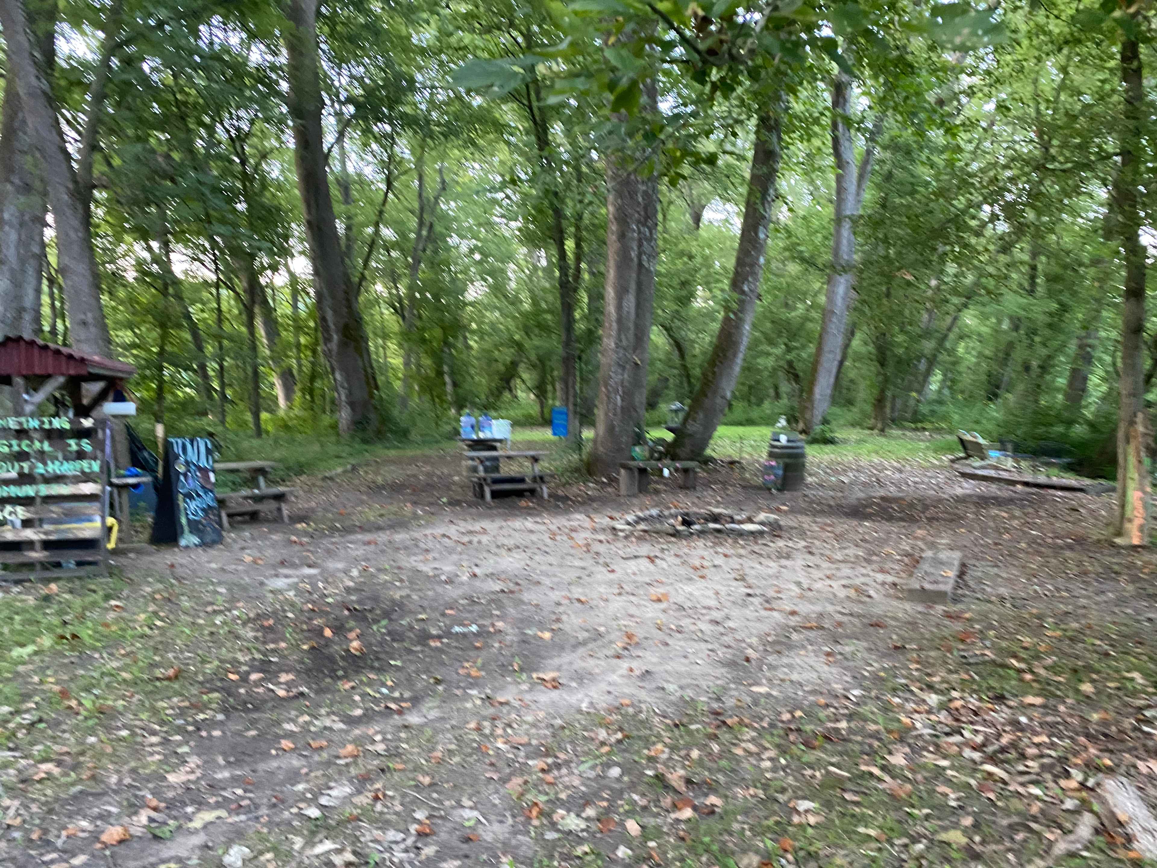 Picture of the site