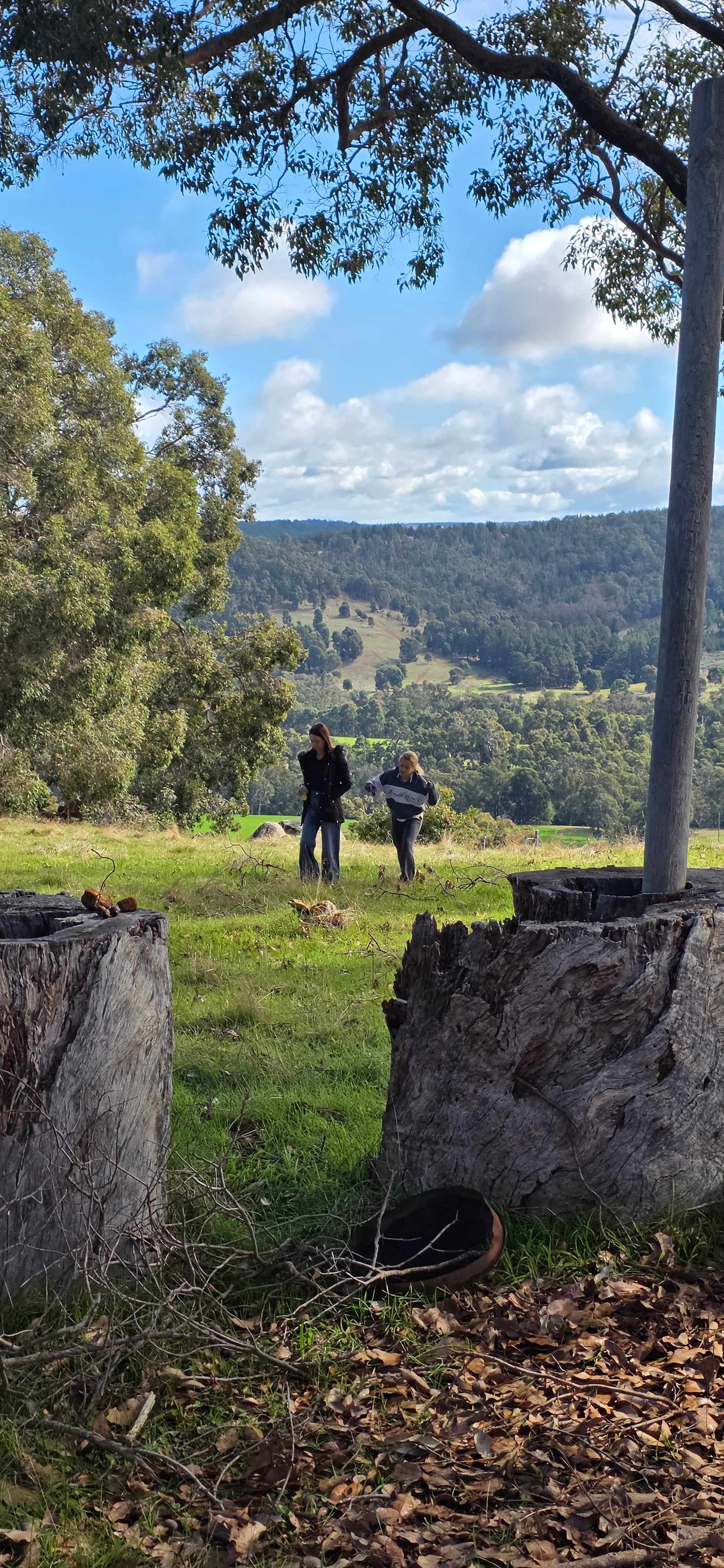 Blackwood Ridge Nature Park