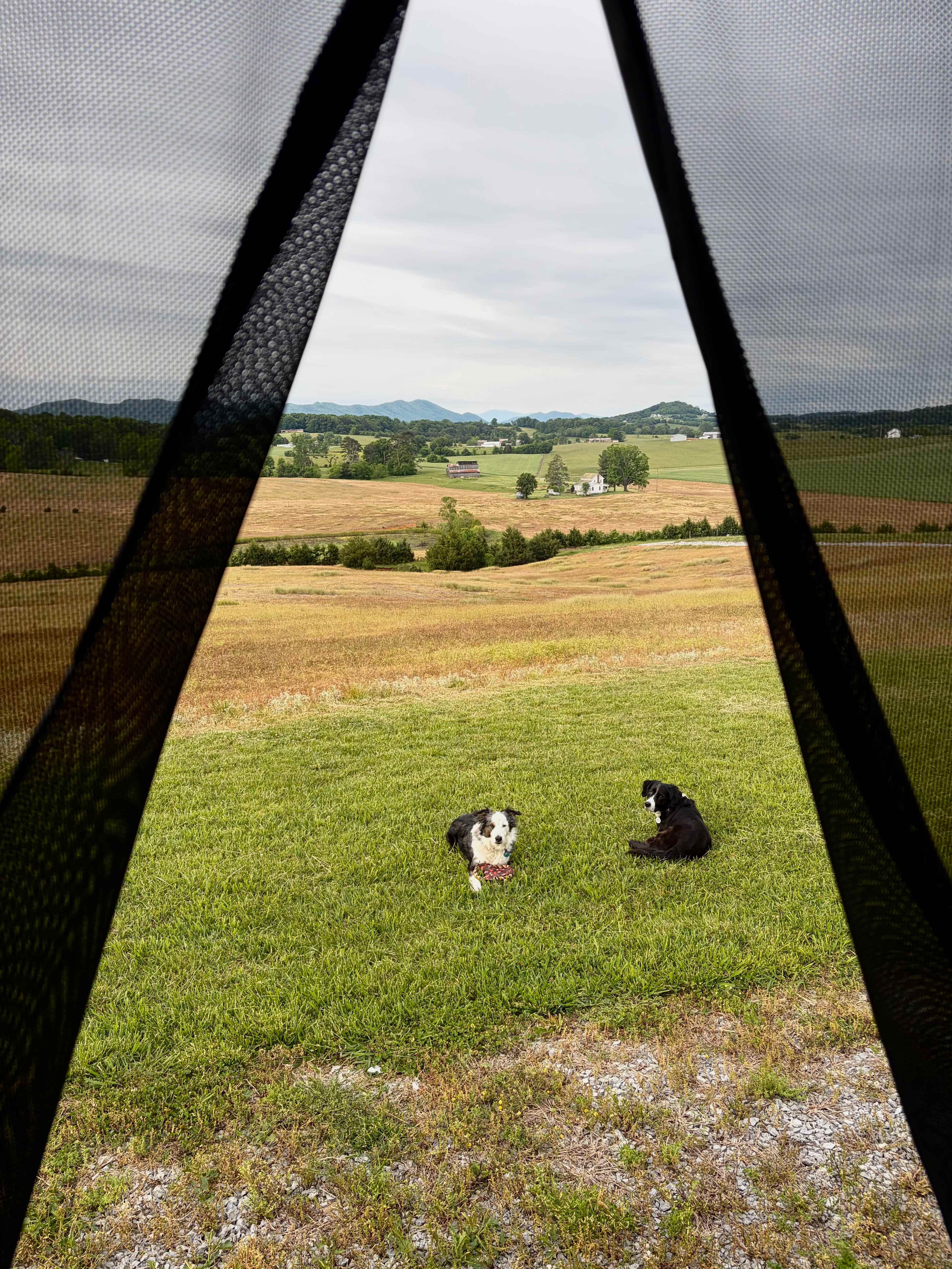 East Tennessee Hilltop Campsite
