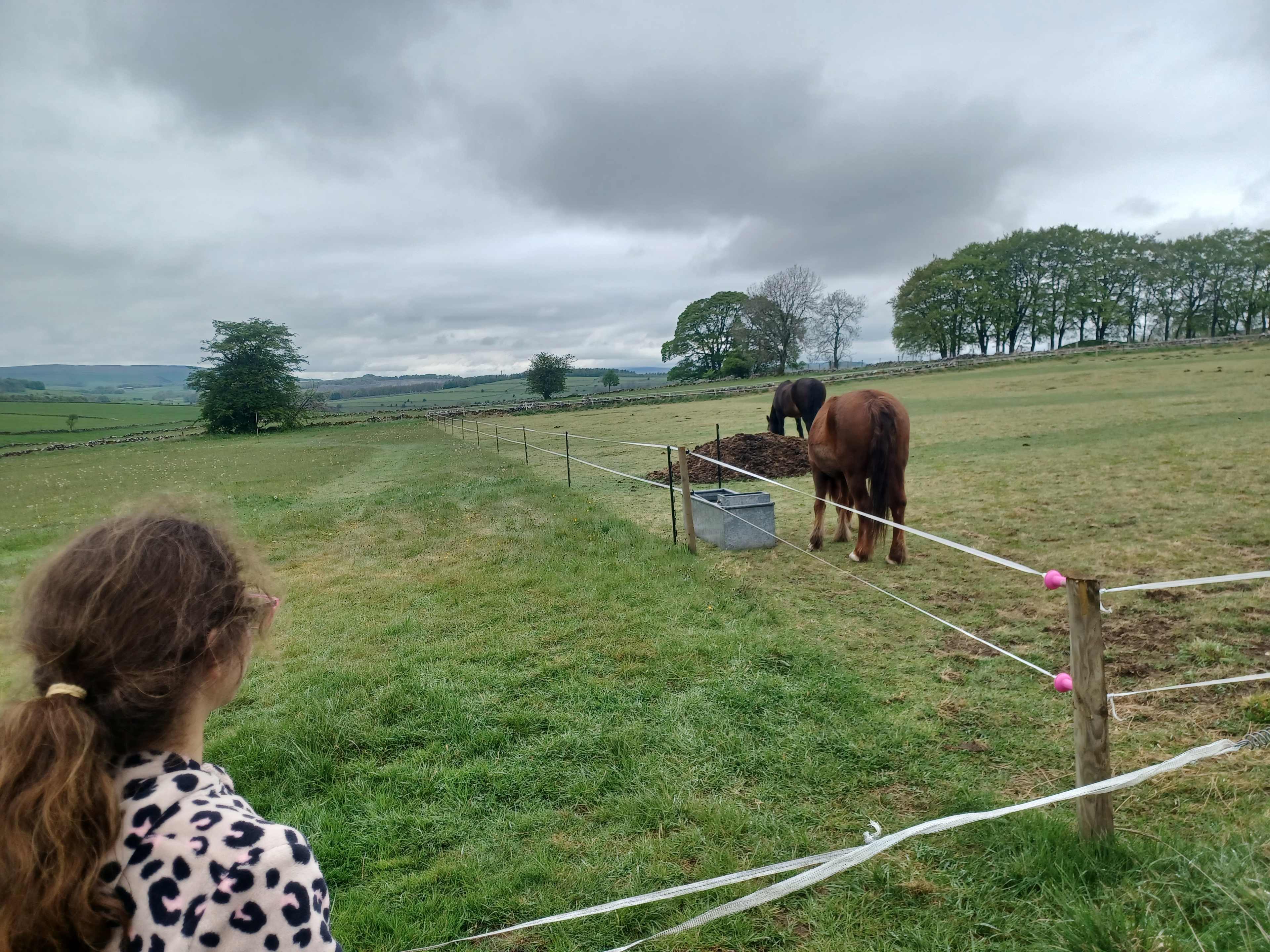 Burrs Manor Wild Camping