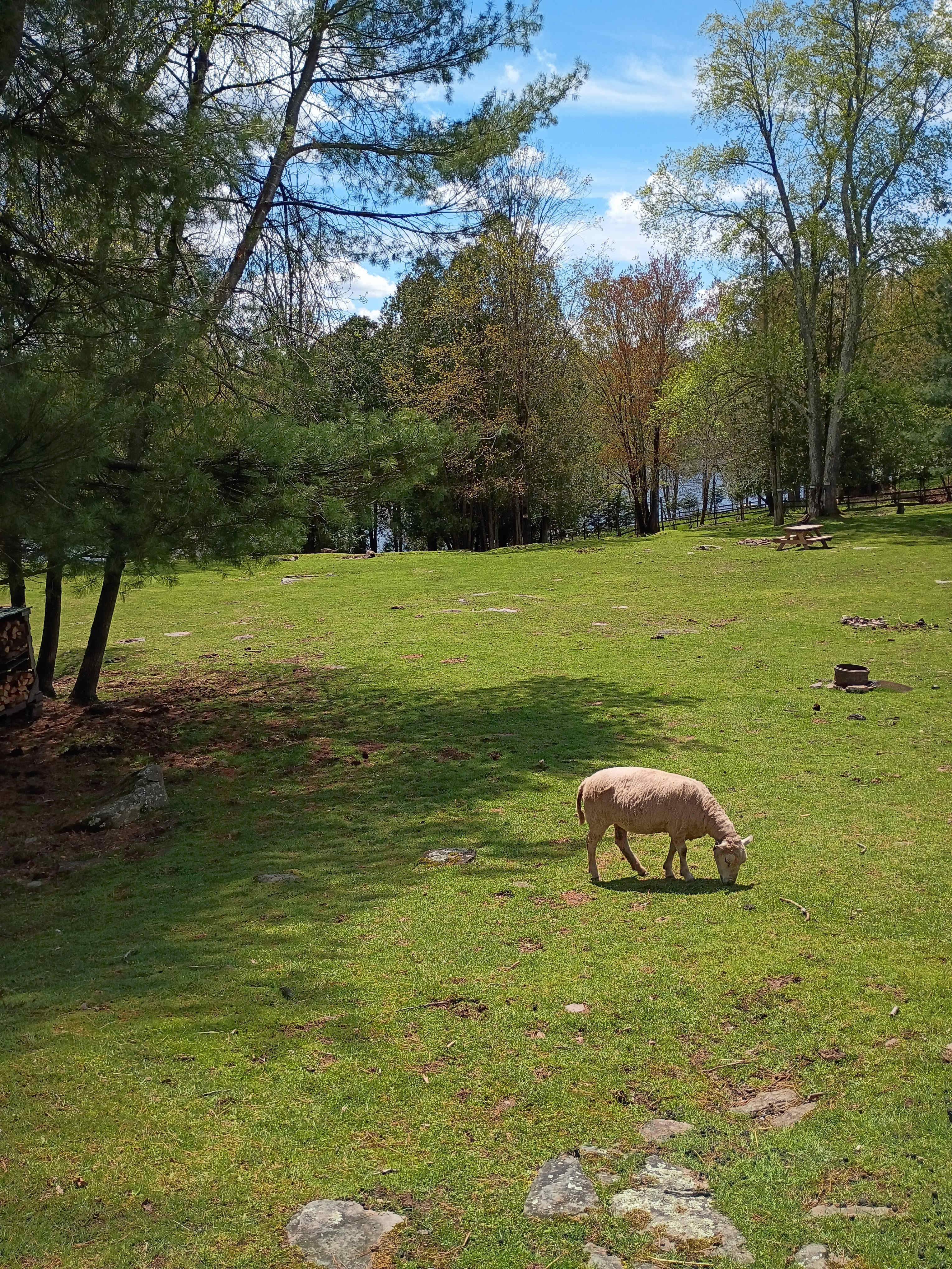 BeaverWood Farm (no children)