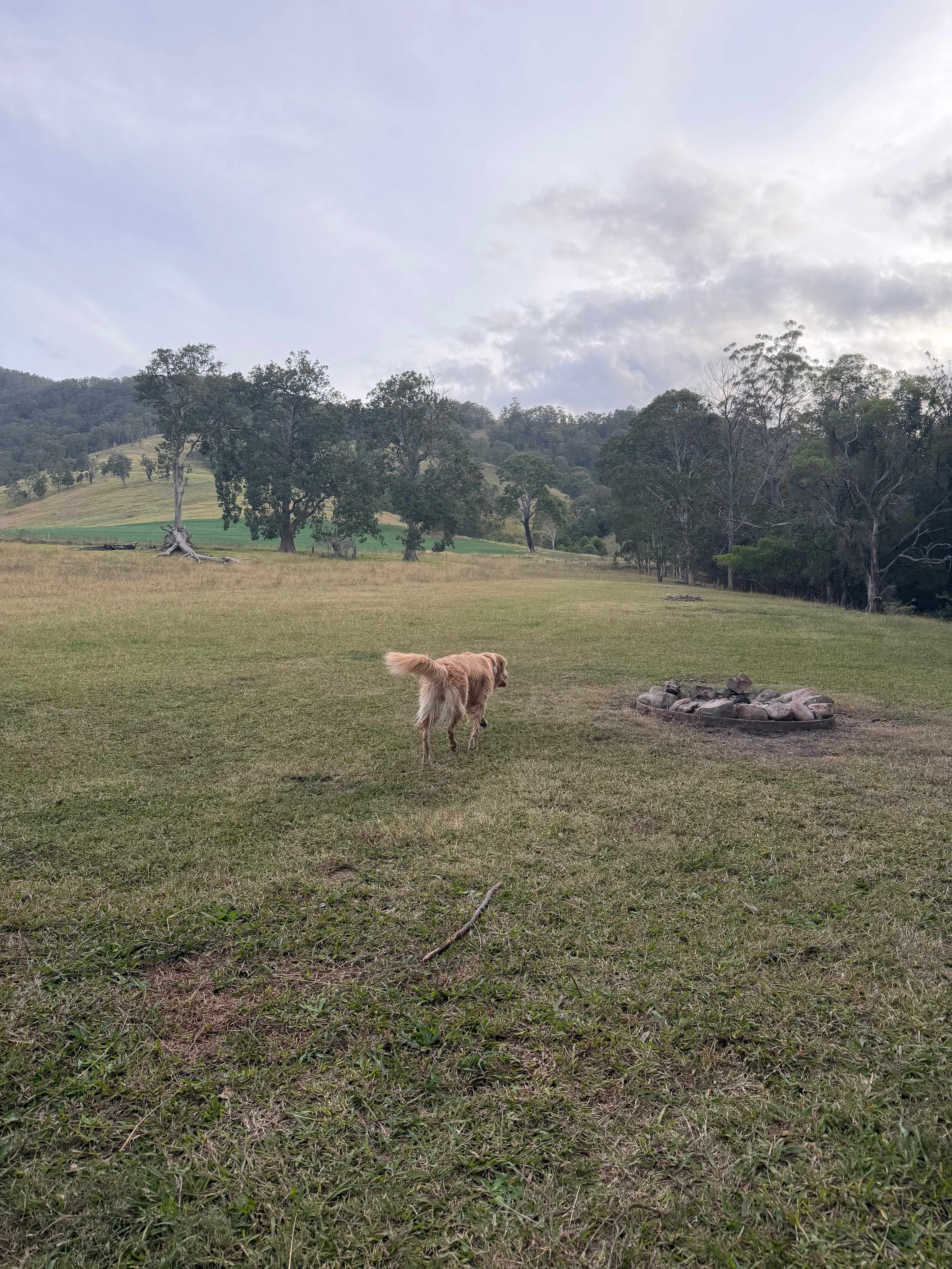 River Front Campsites