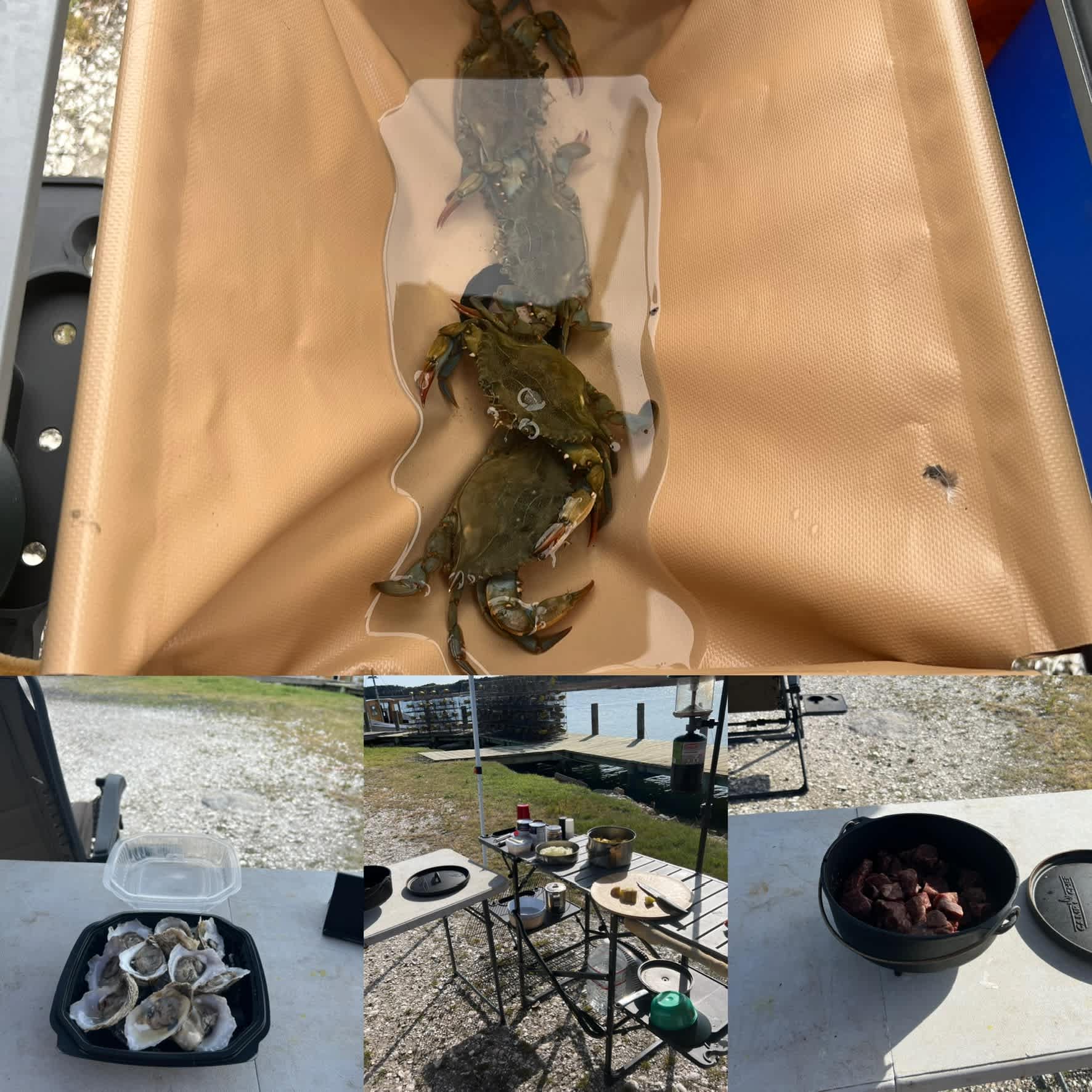 Oysters Crab and Camp Stew.
