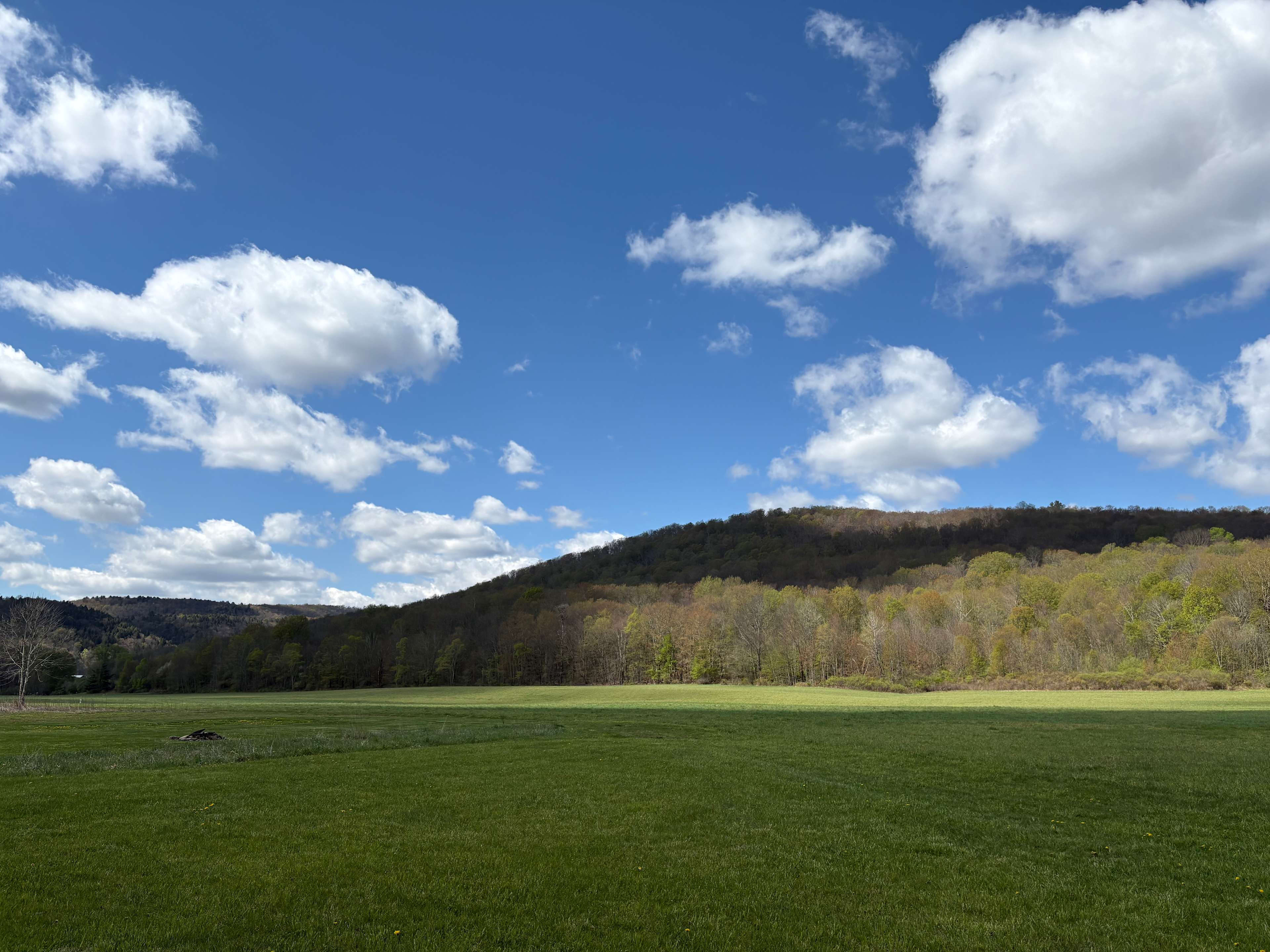 NEWE - Equinunk Campground