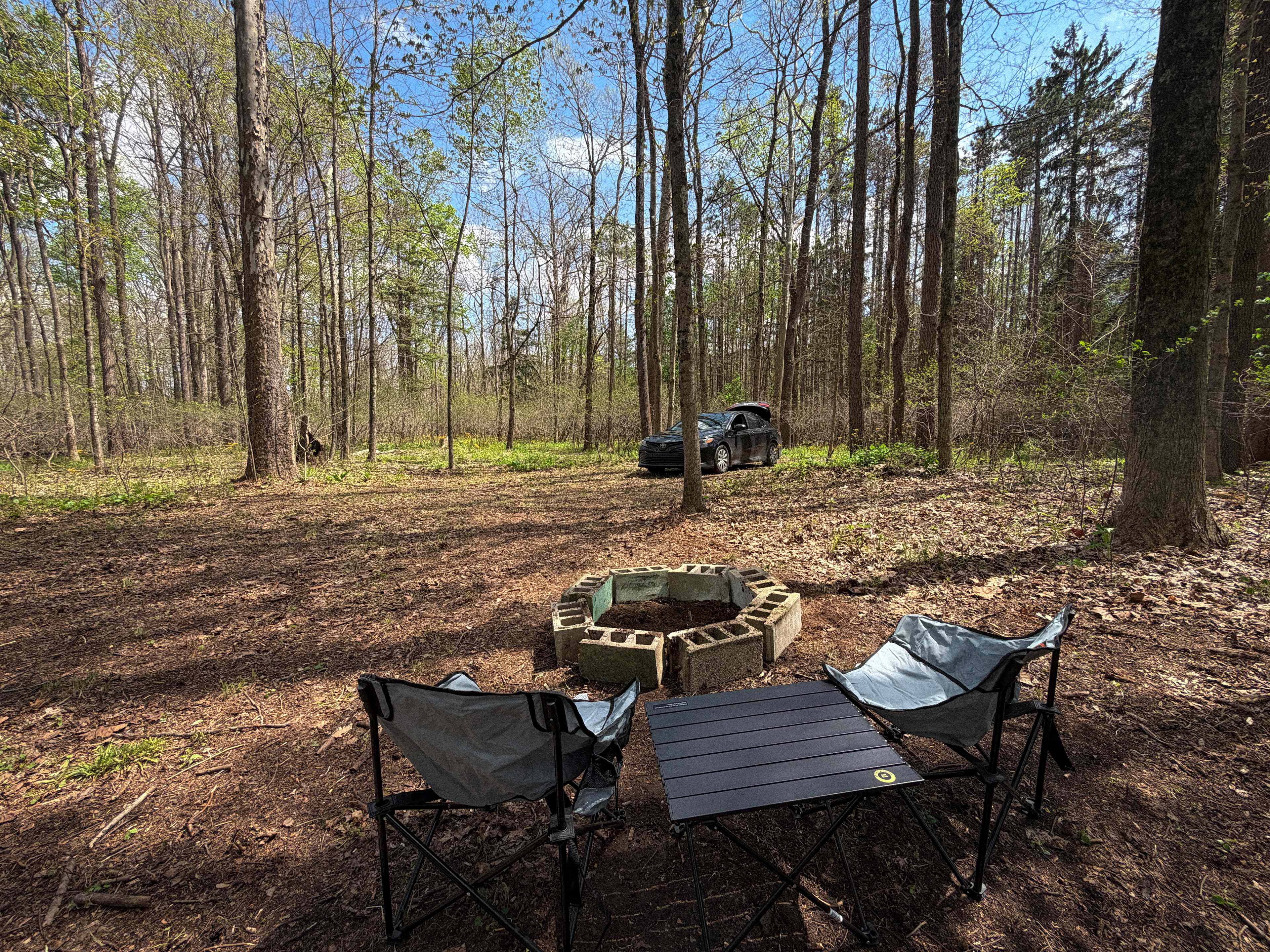 Picture of the site