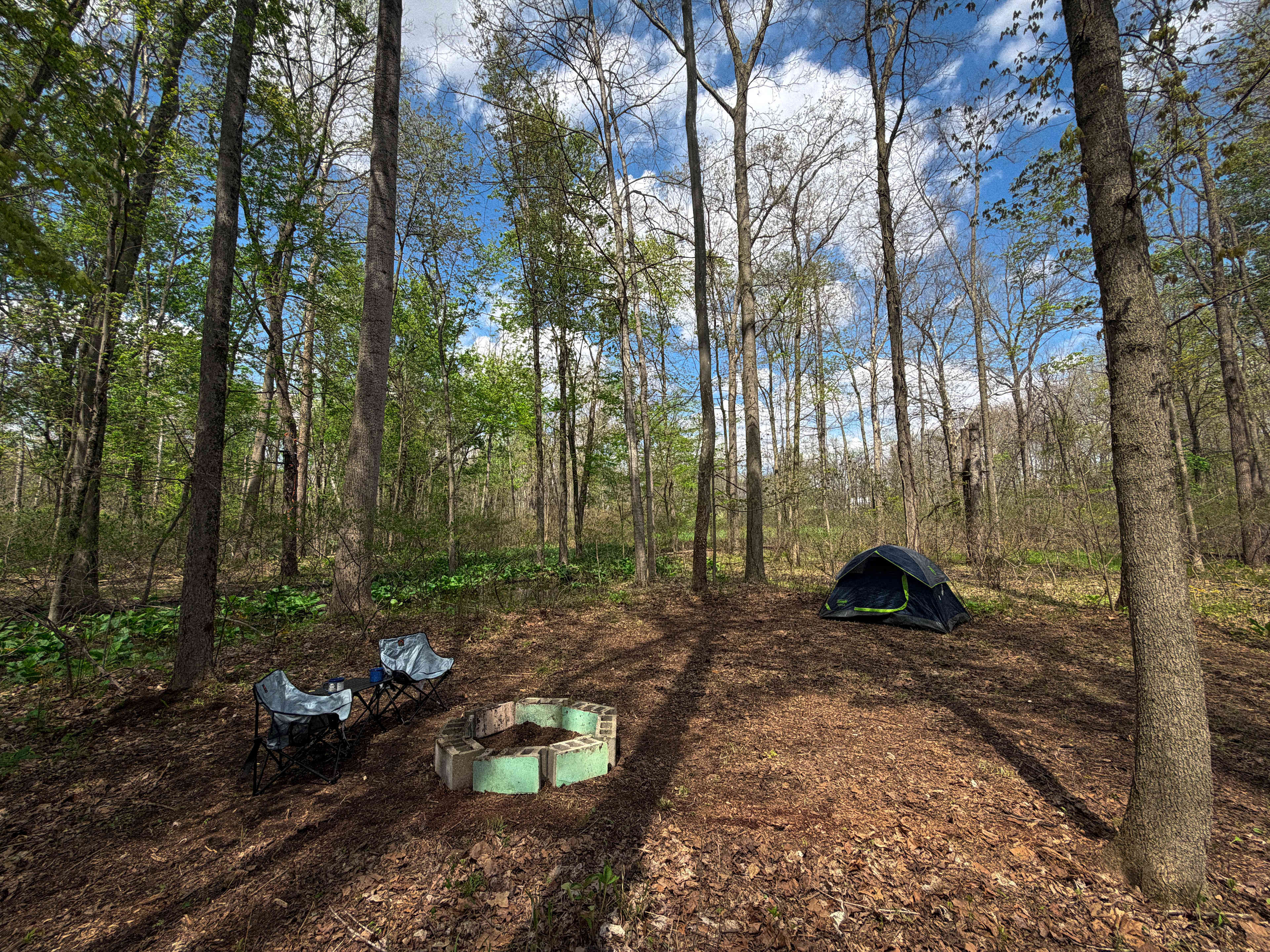 Picture of the site