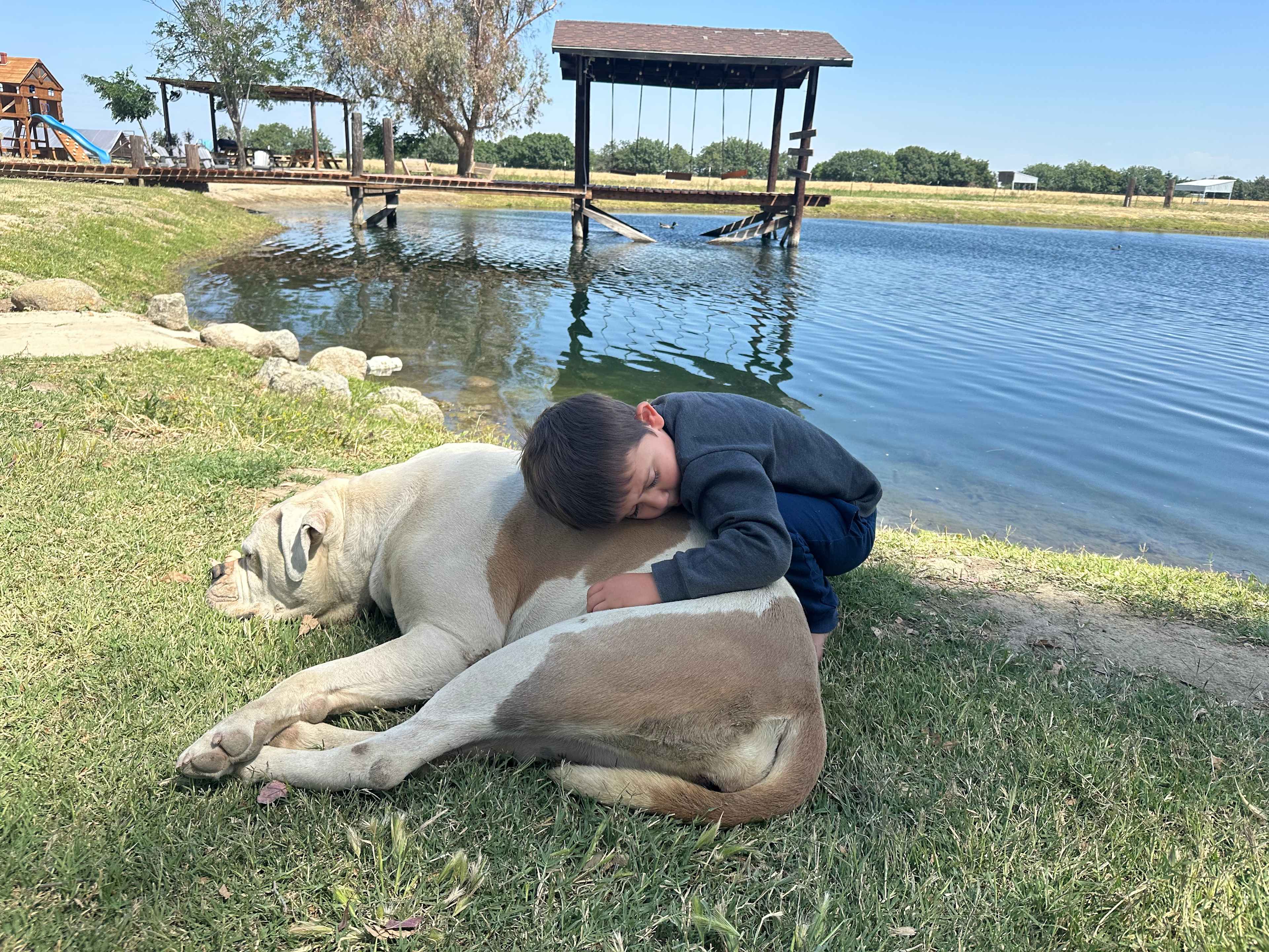 He loved Cleo she is an Amazing Loving Dog 