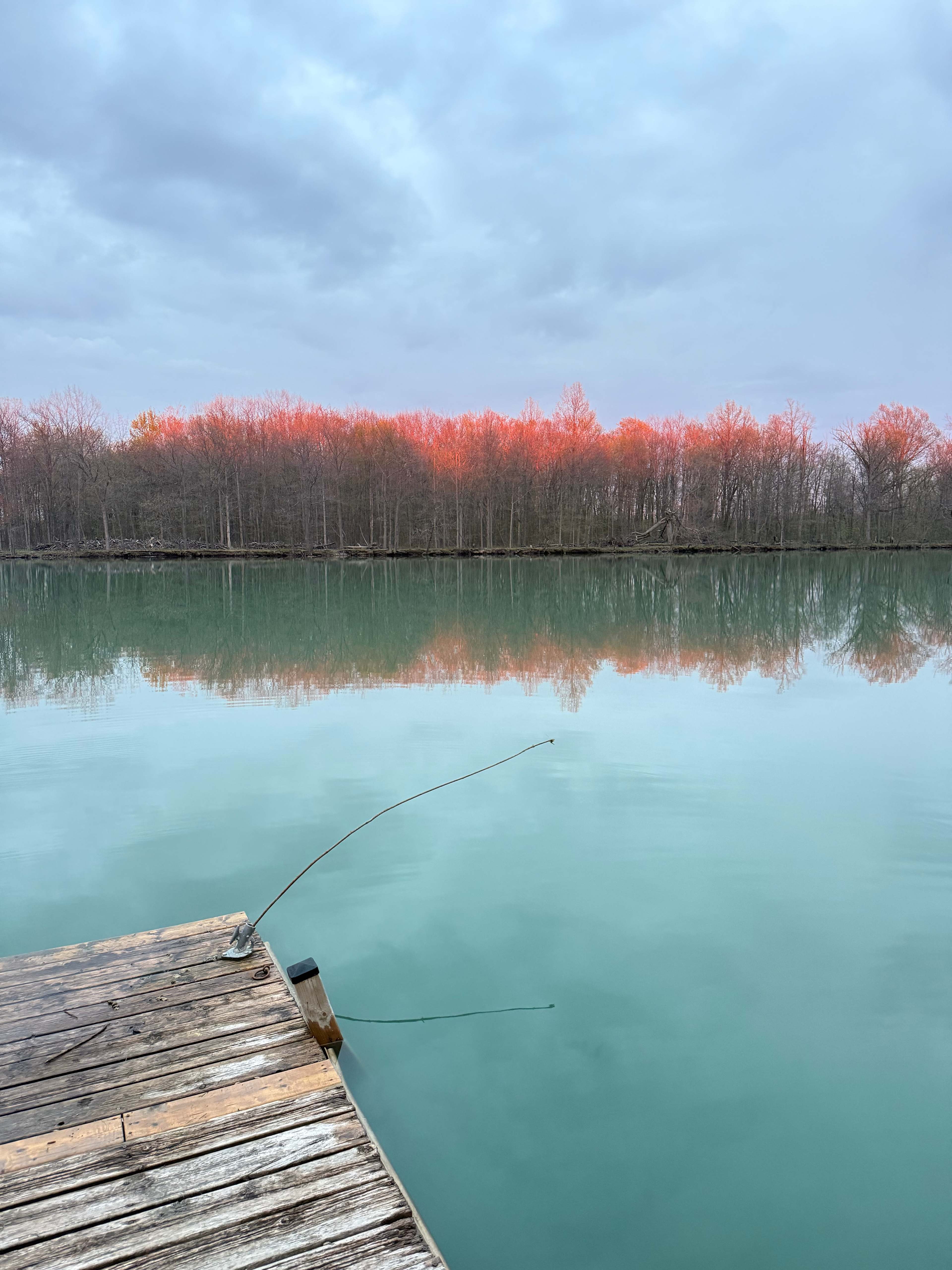 T's Pond