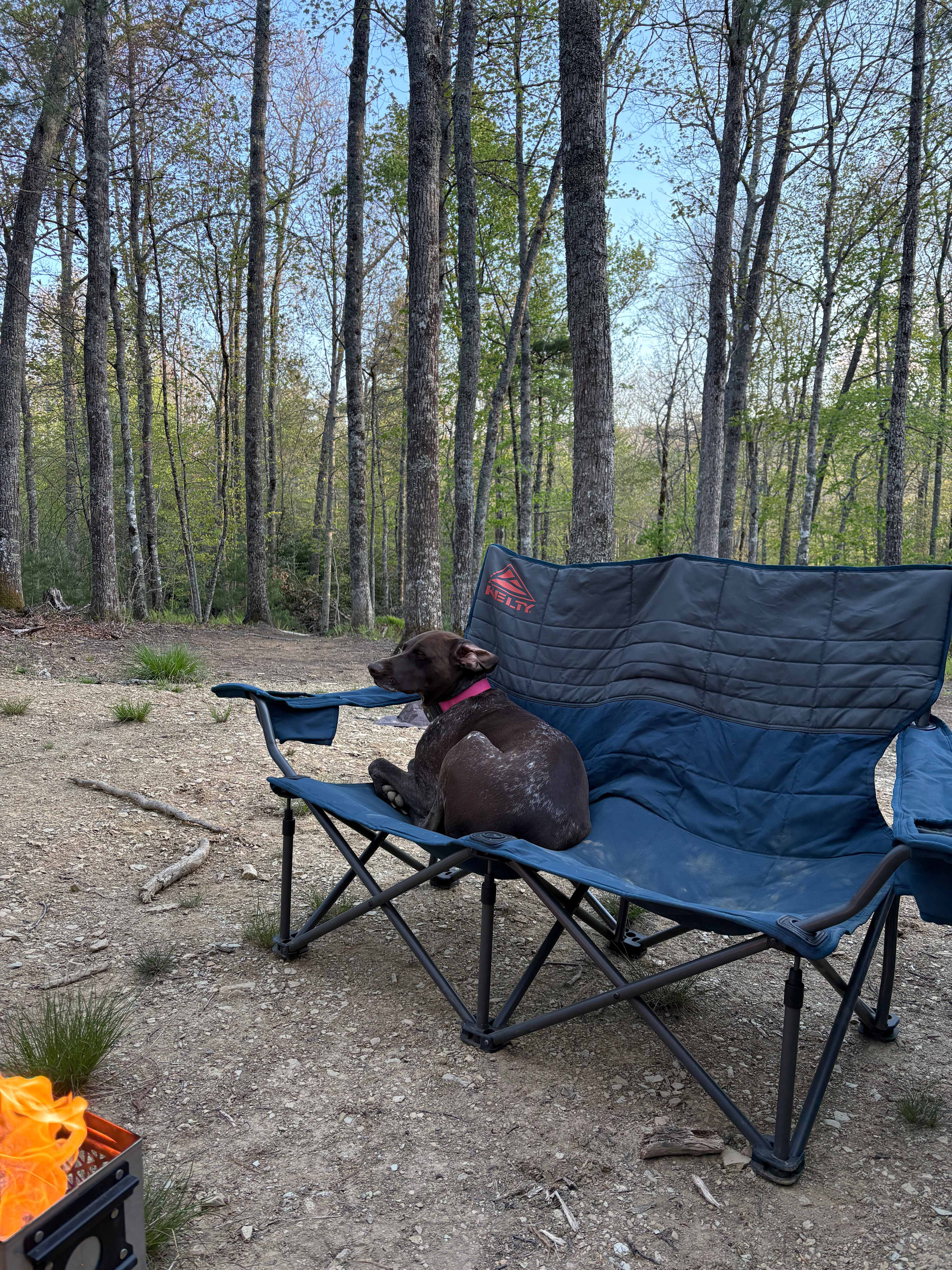 Tranquil Highland Campground