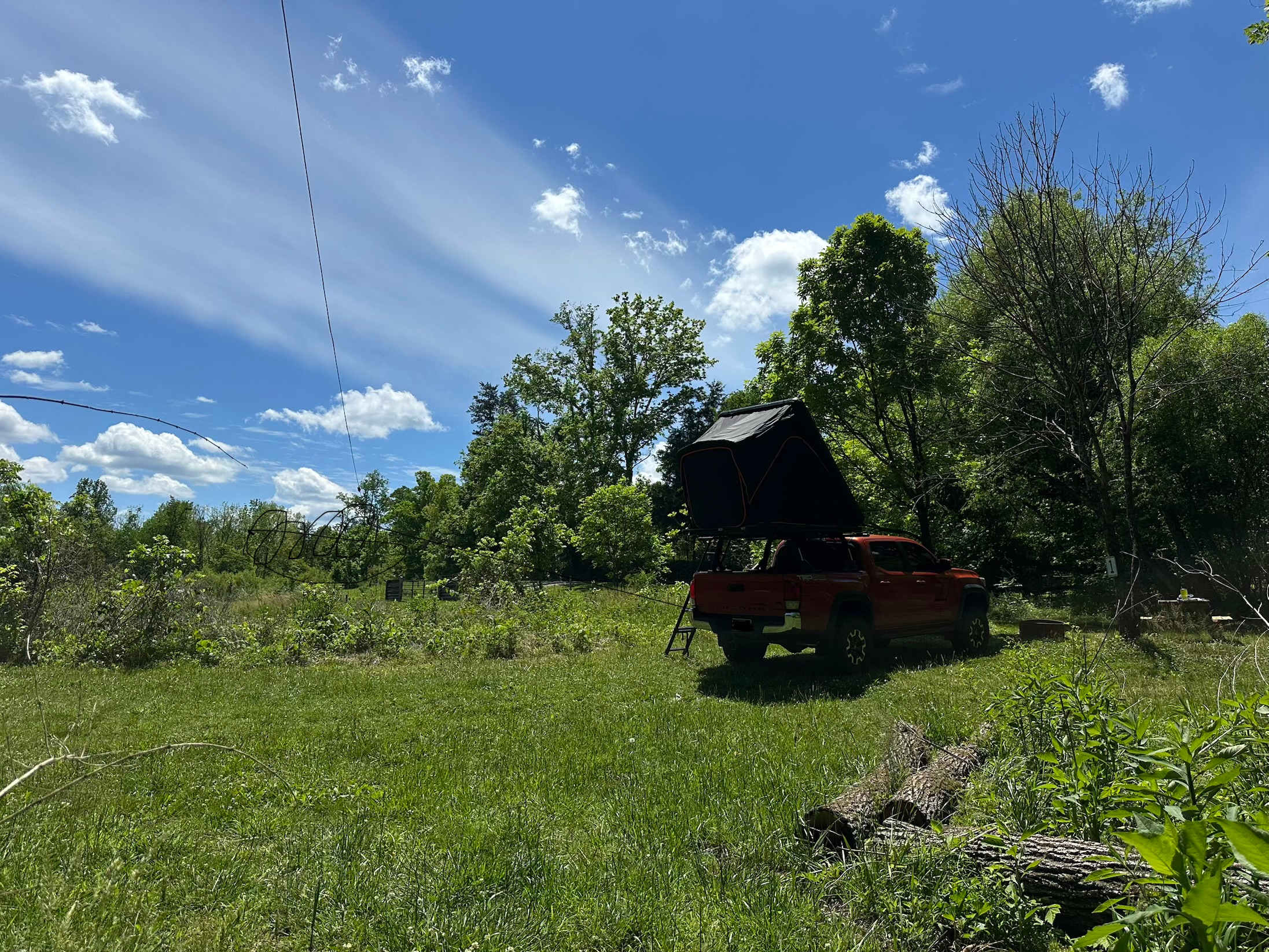 Low Meadow Farms