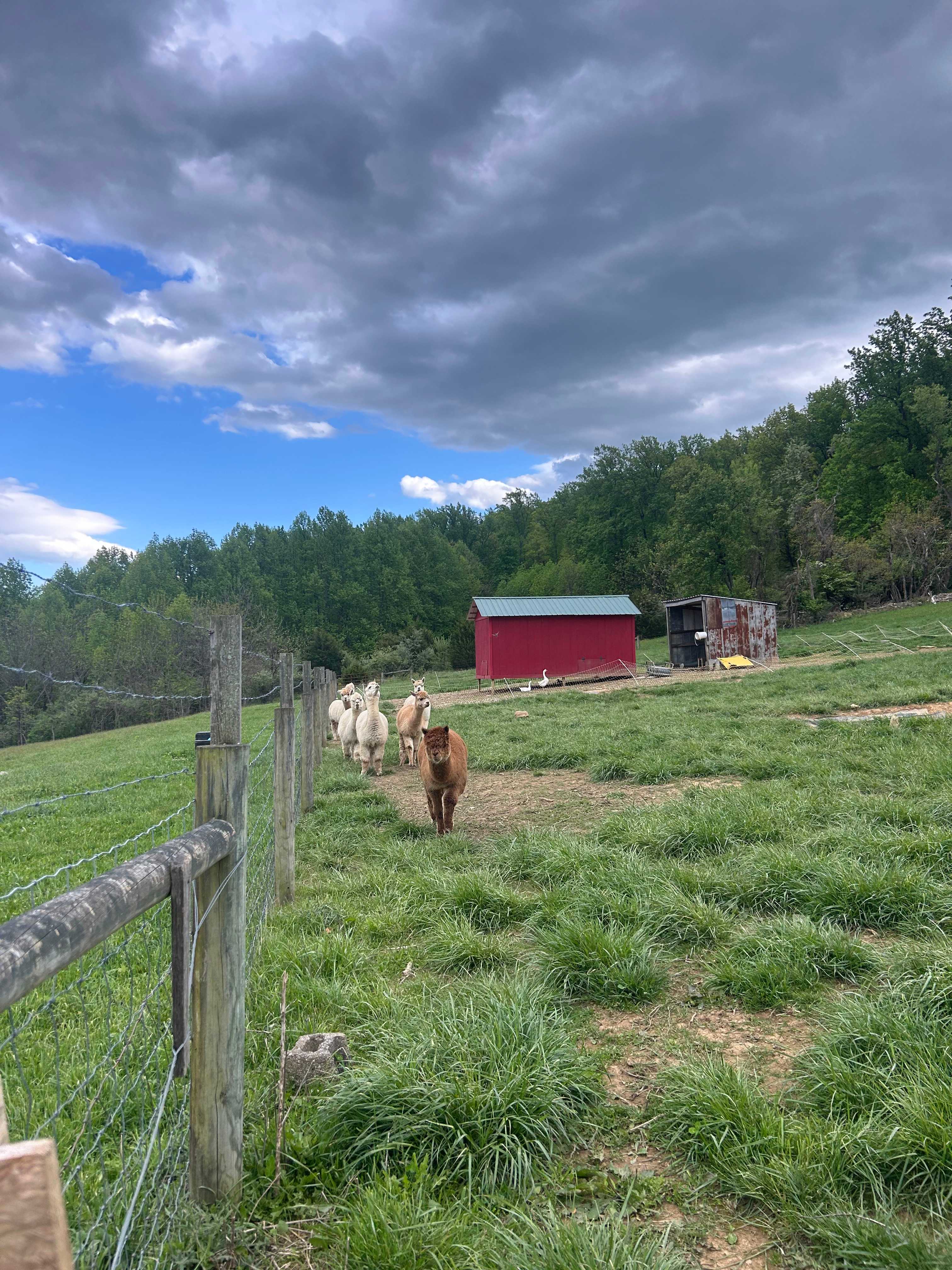 Beespoke Farms