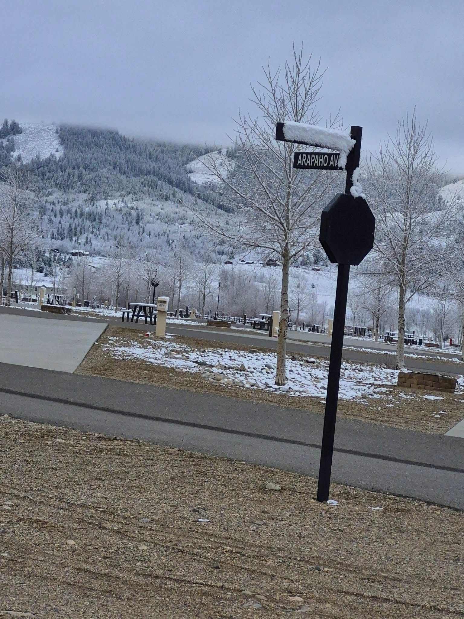 Picture of the site