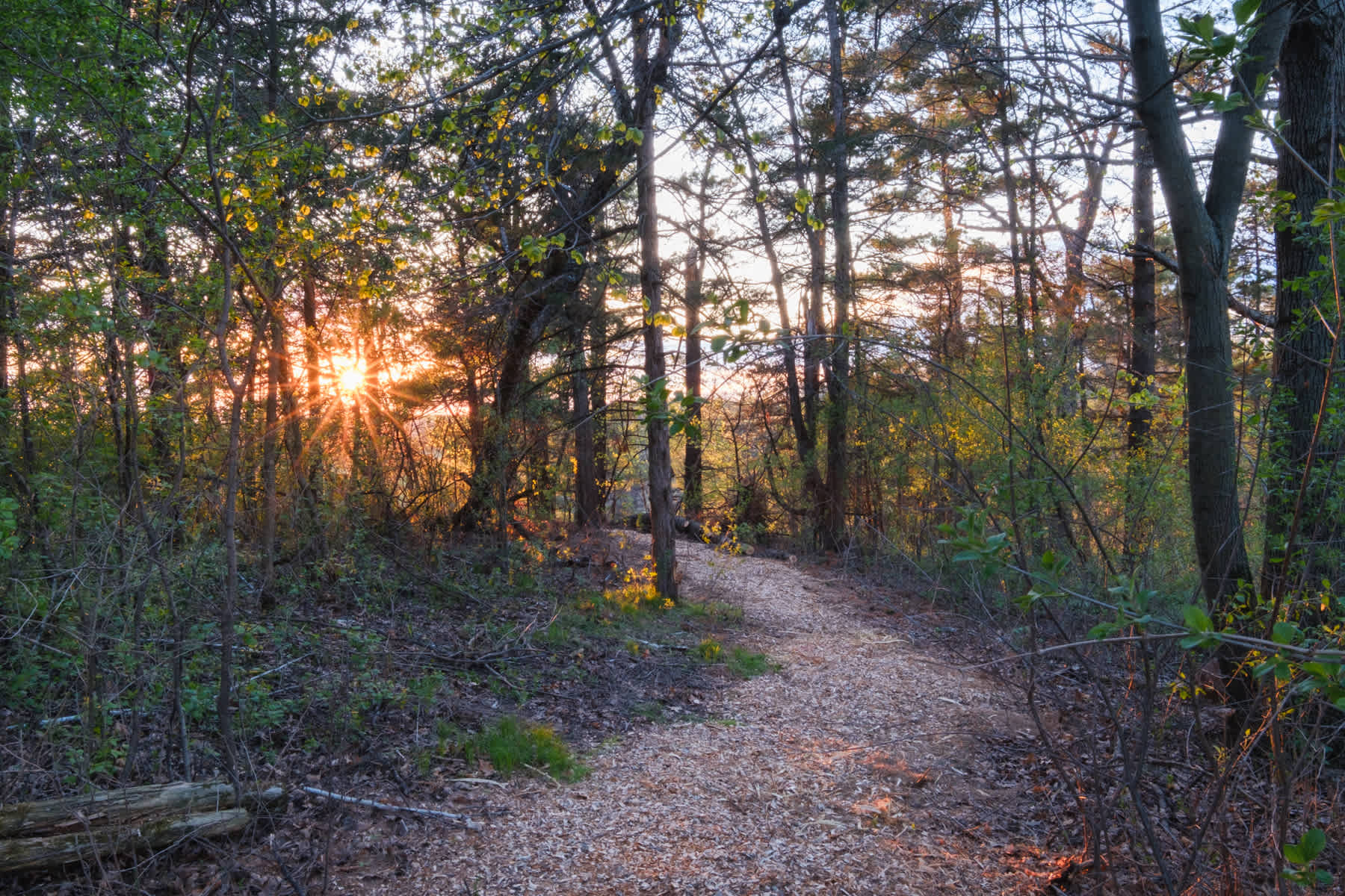 The rock outlook is the perfect spot to catch the sunset! 