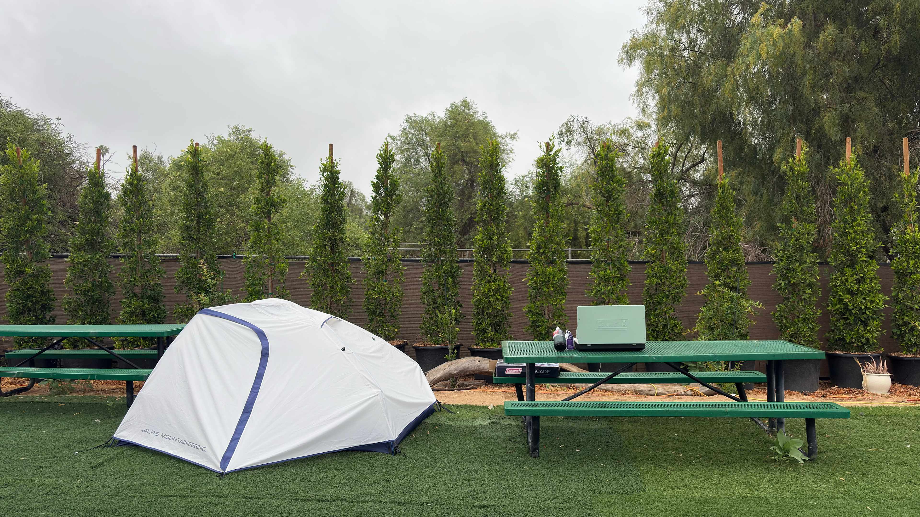 Picture of the site