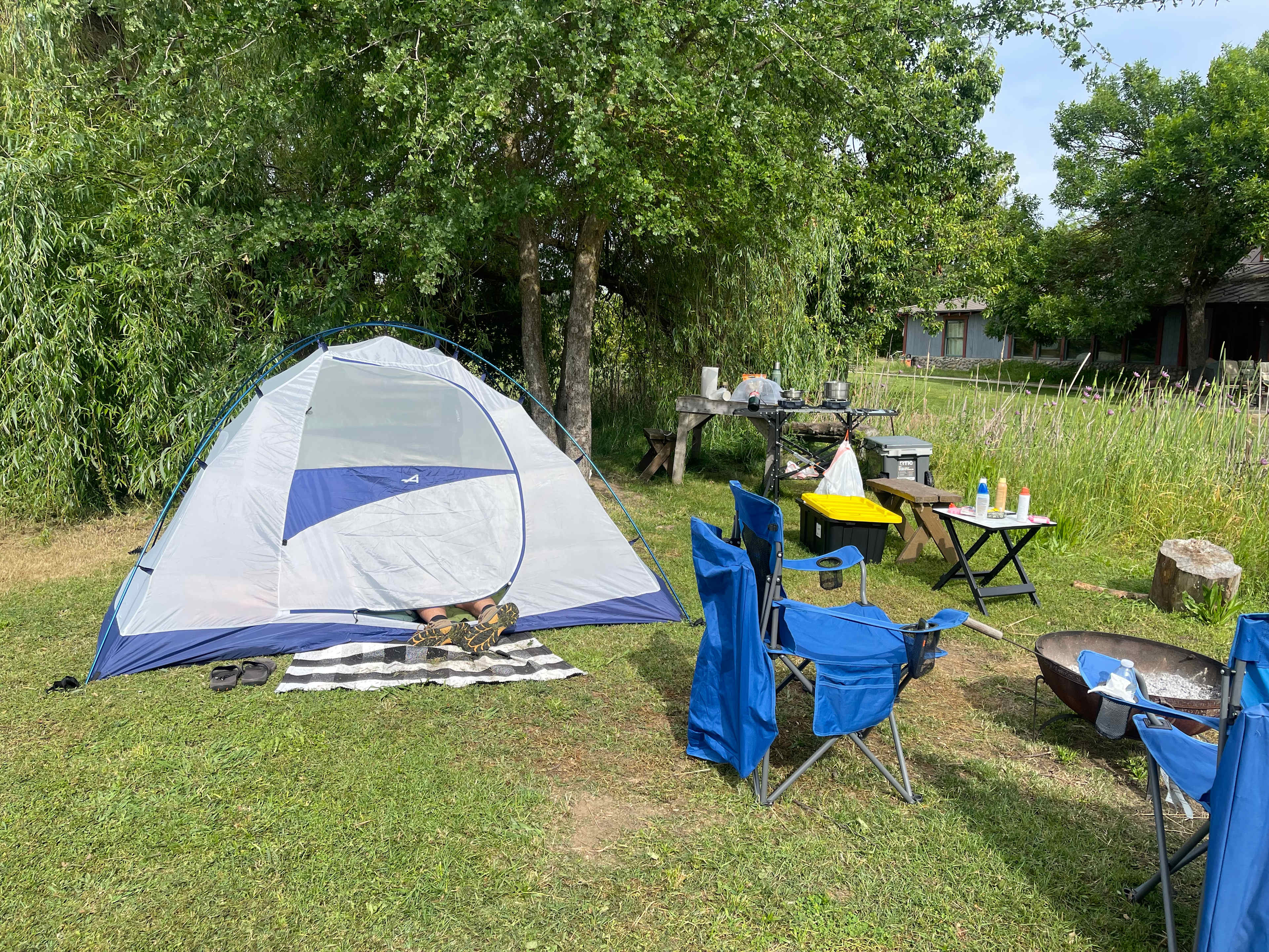 The Foxes  Family Farm