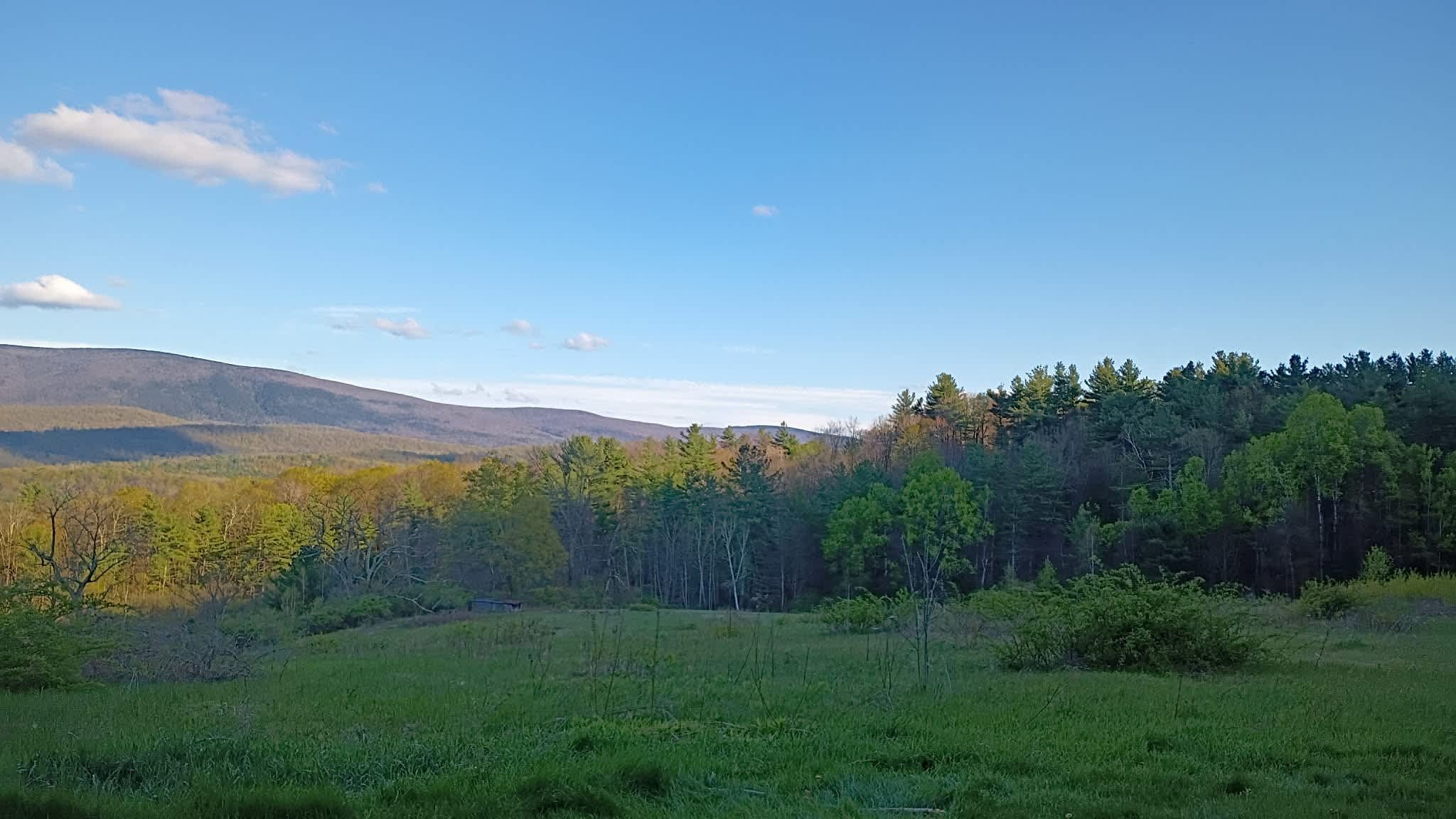 Timbertrail Farm