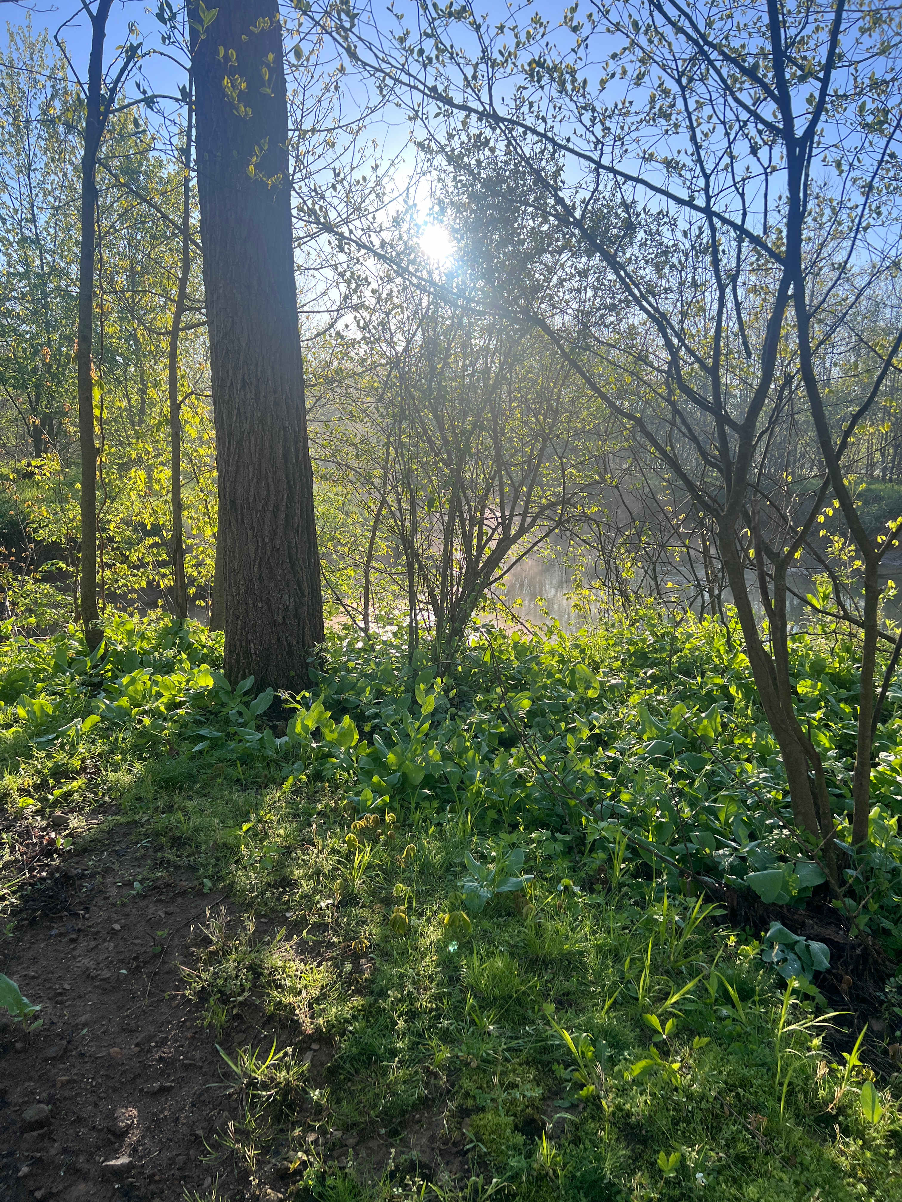 Memory Park Campground
