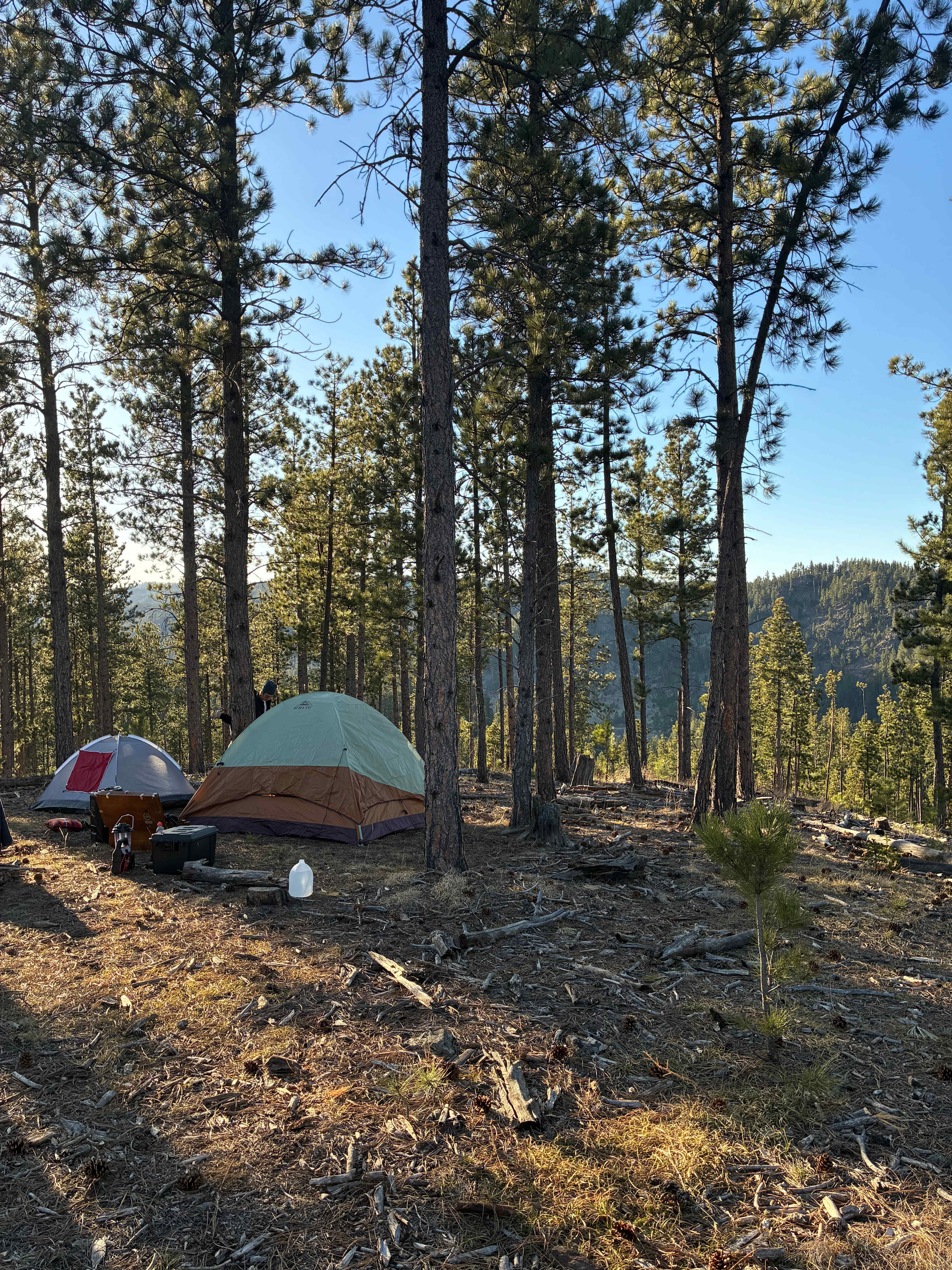 The Wilderness