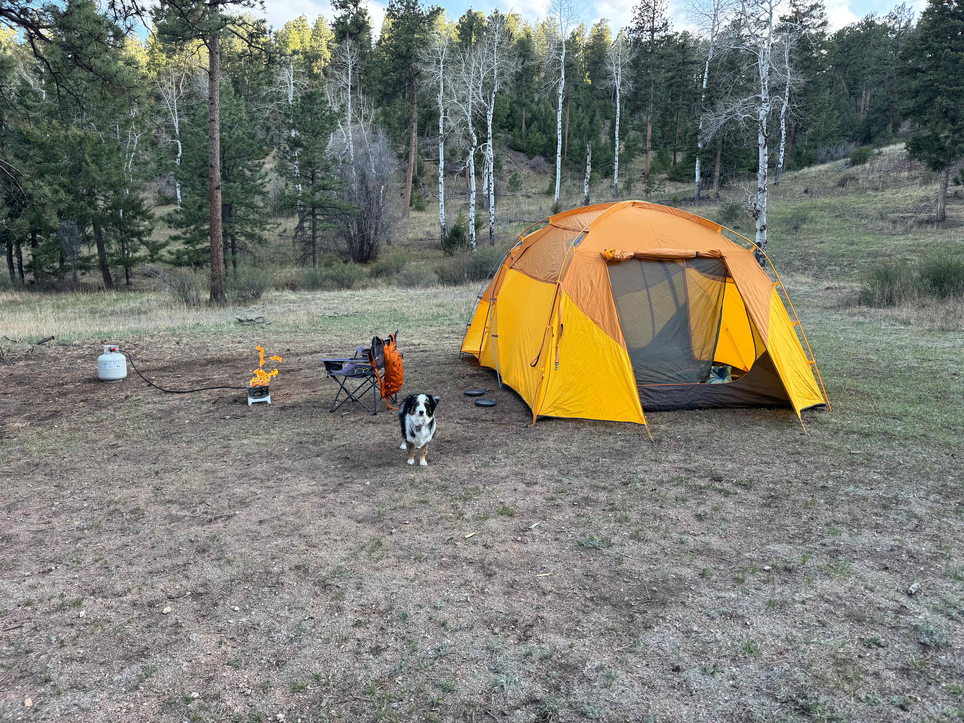 Serenity in the Foothills
