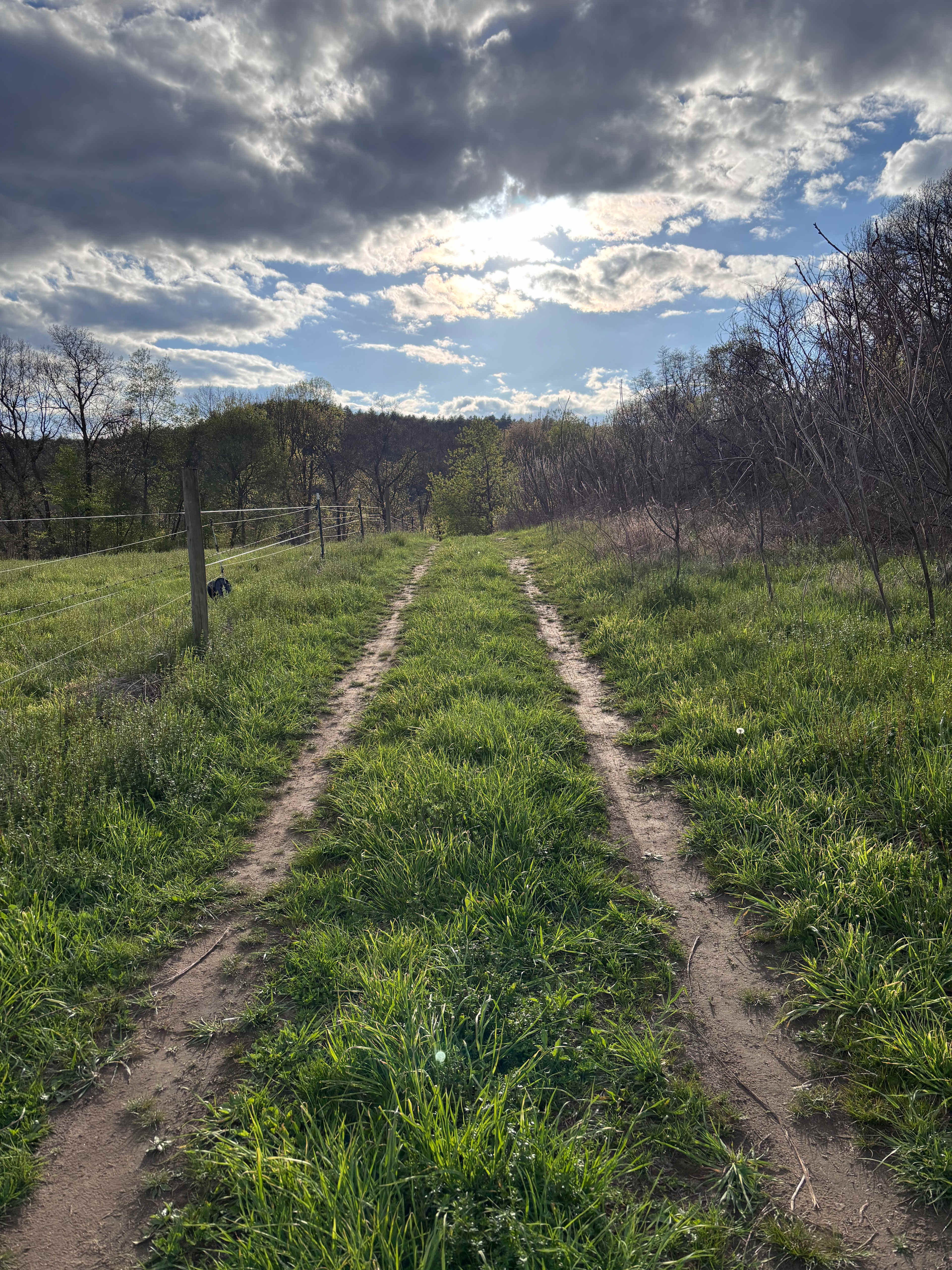 Turtle Bend Farm