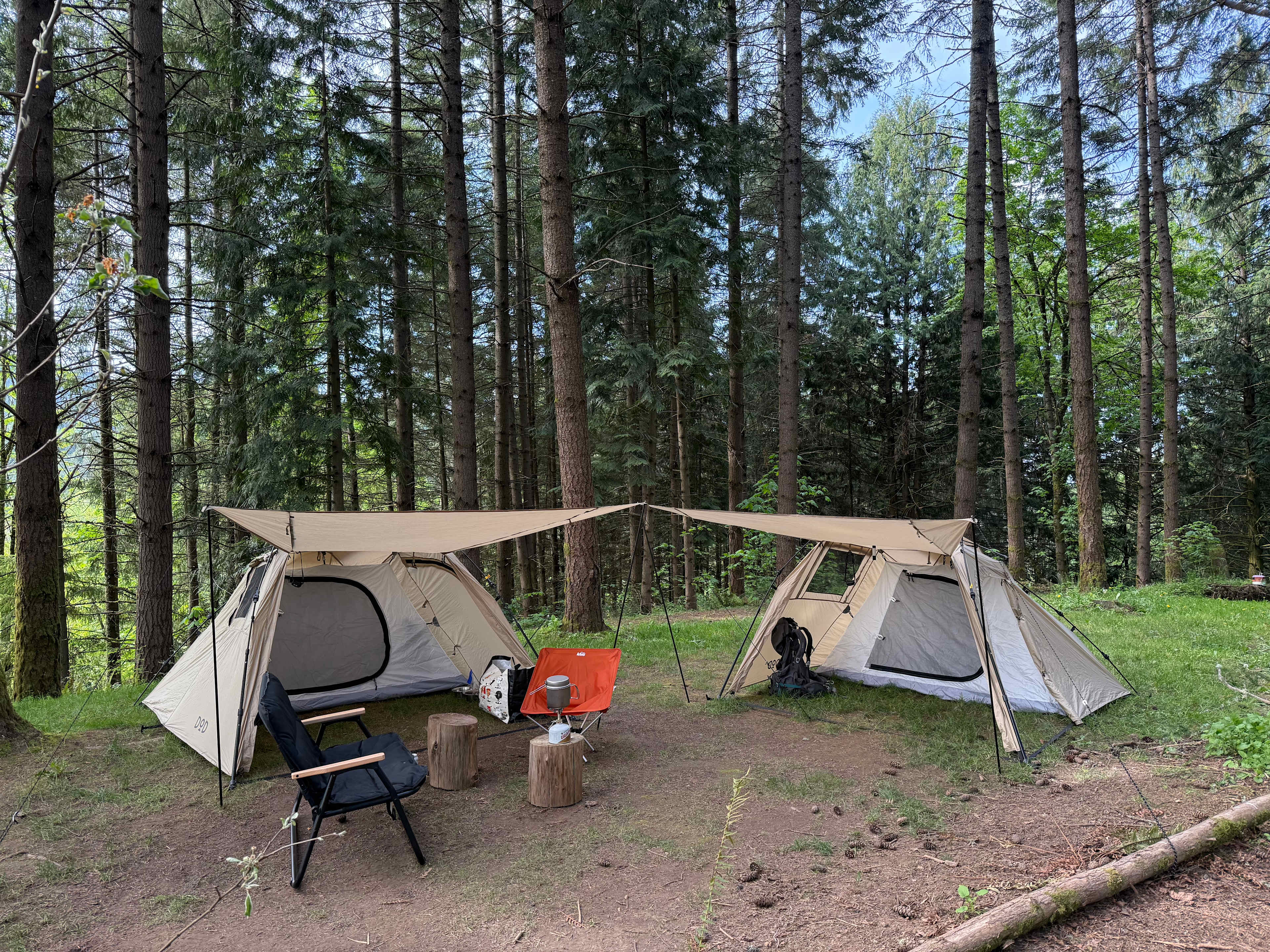 Akitaaru Forest Camp