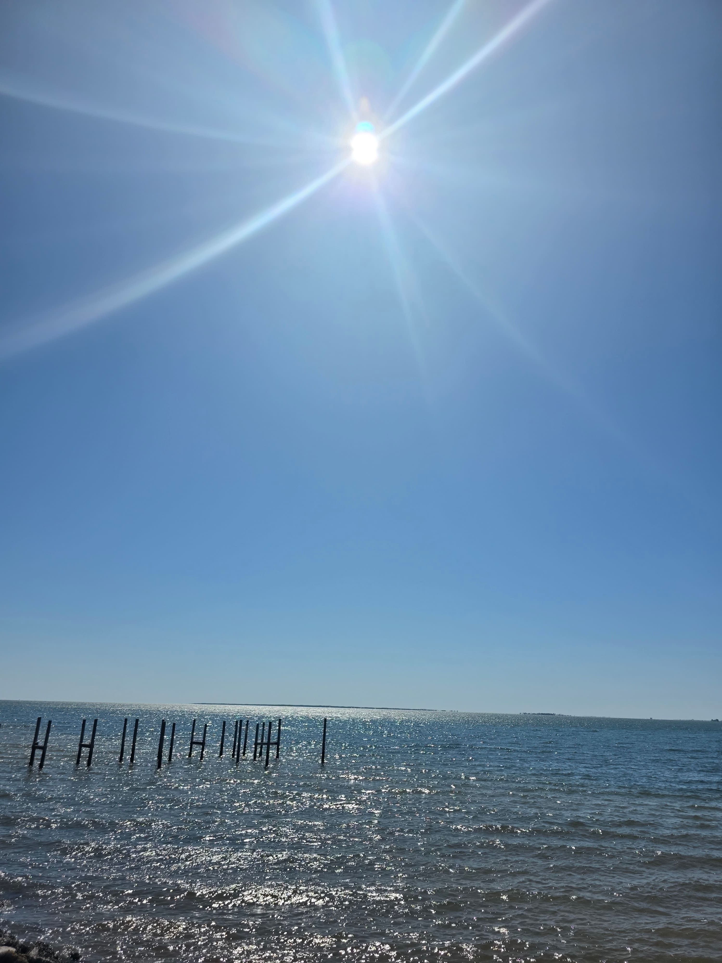 Bayside Camping