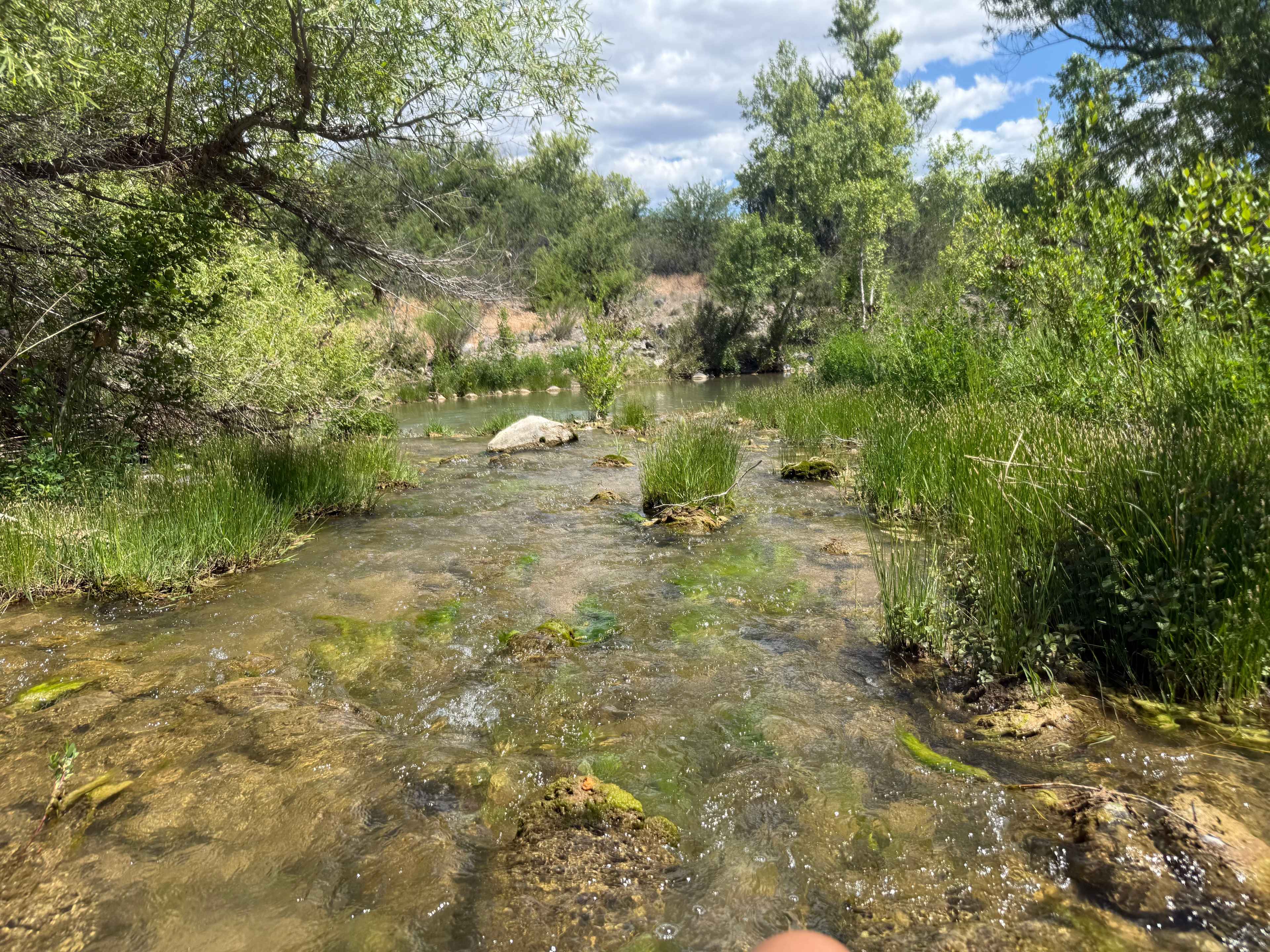 Beaver Creek Oasis