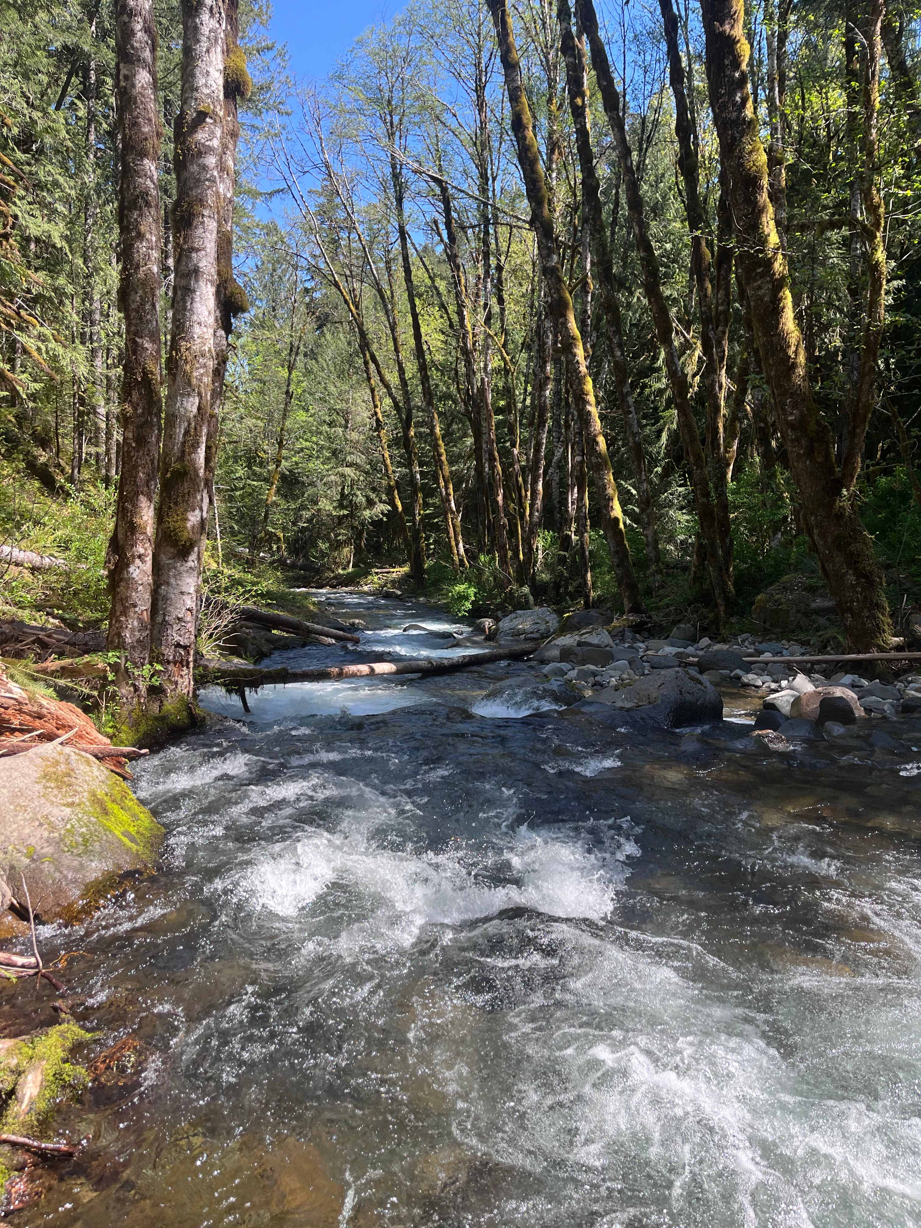 Coal Creek RV