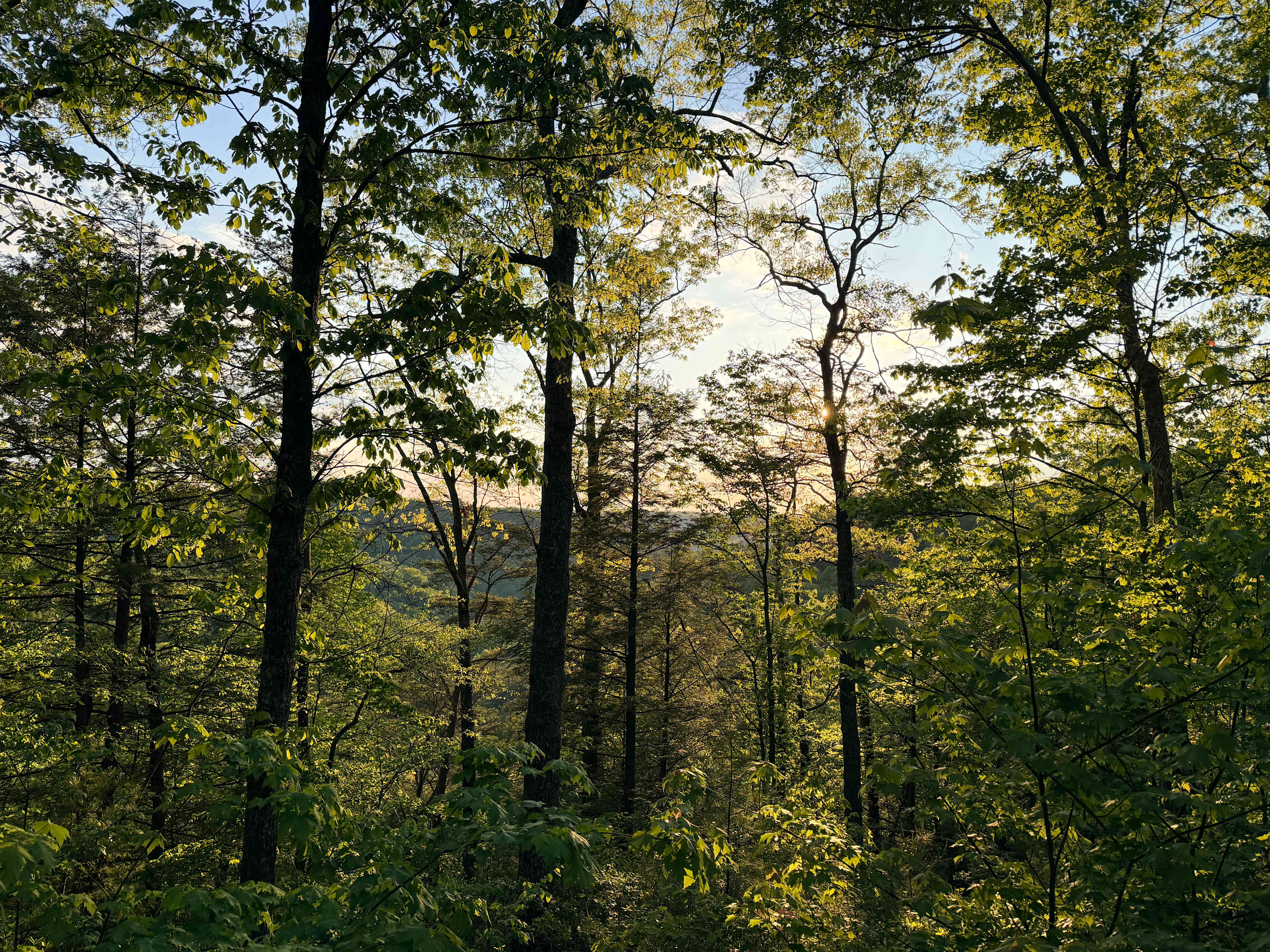 The LAAAAND (just you & 50 acres)