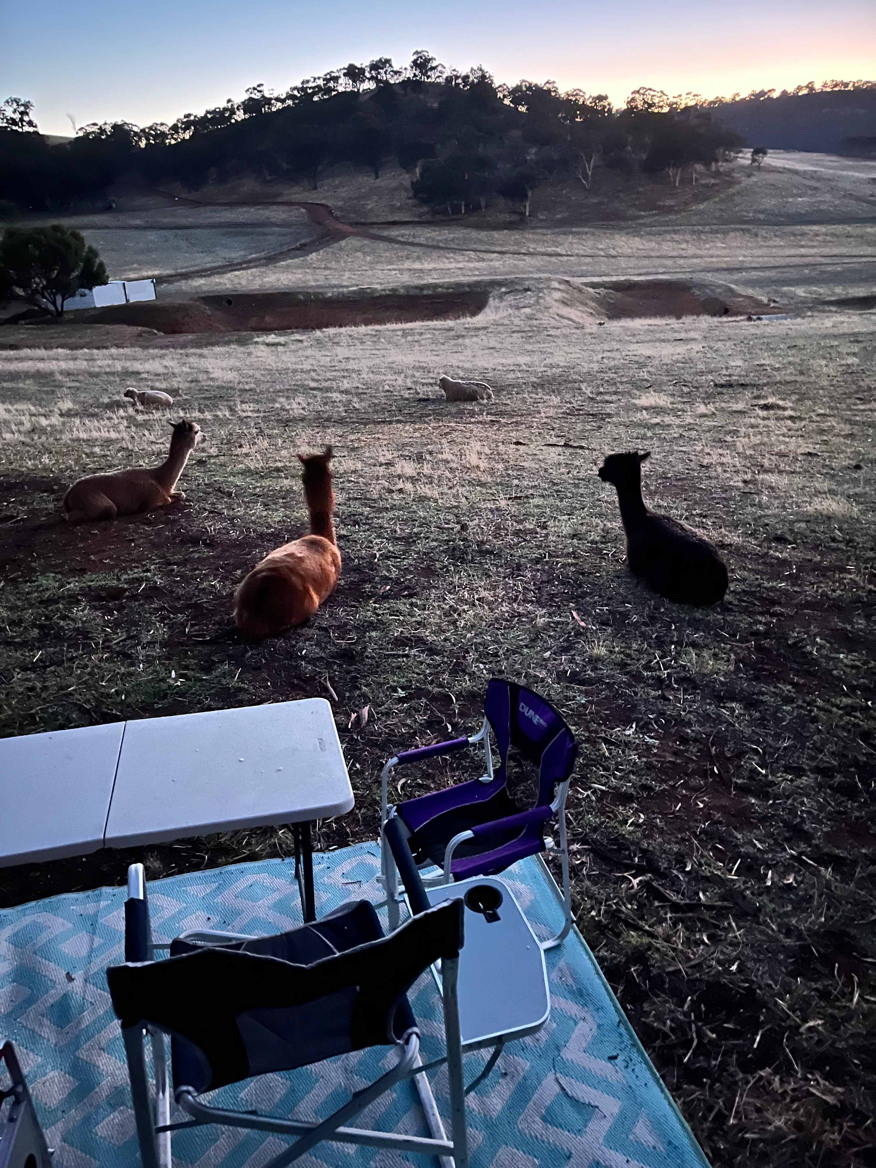 Sandalwood Downs  Farm Stay Toodyay
