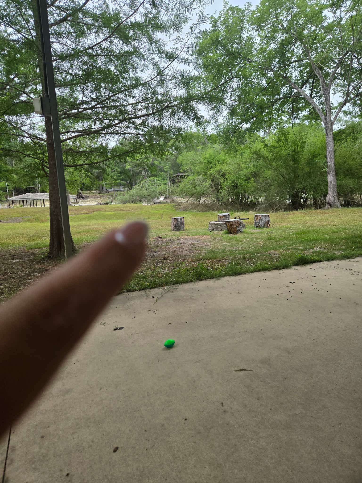 Santa Fe Riverfront / Ichetucknee