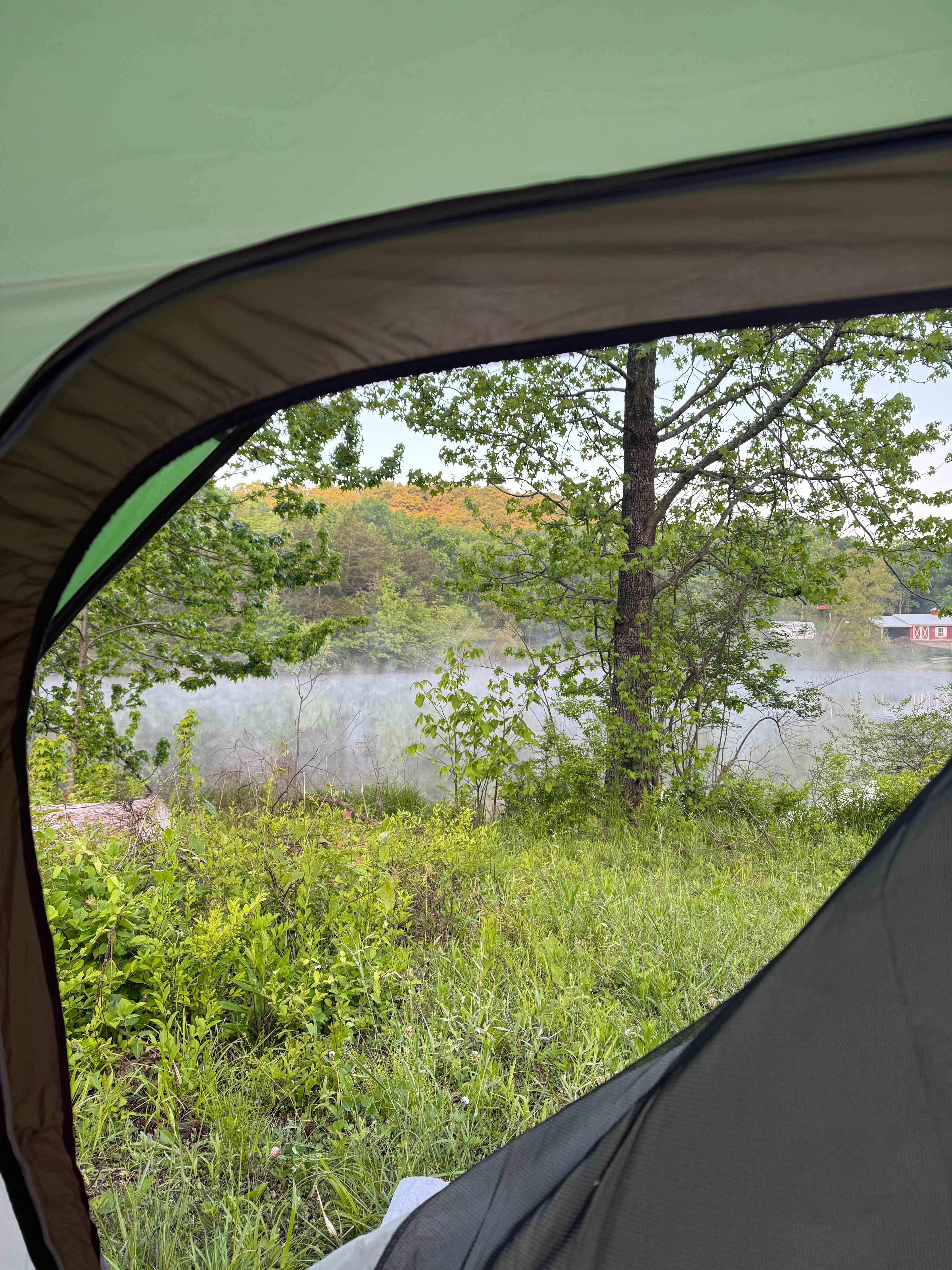 View from my tent