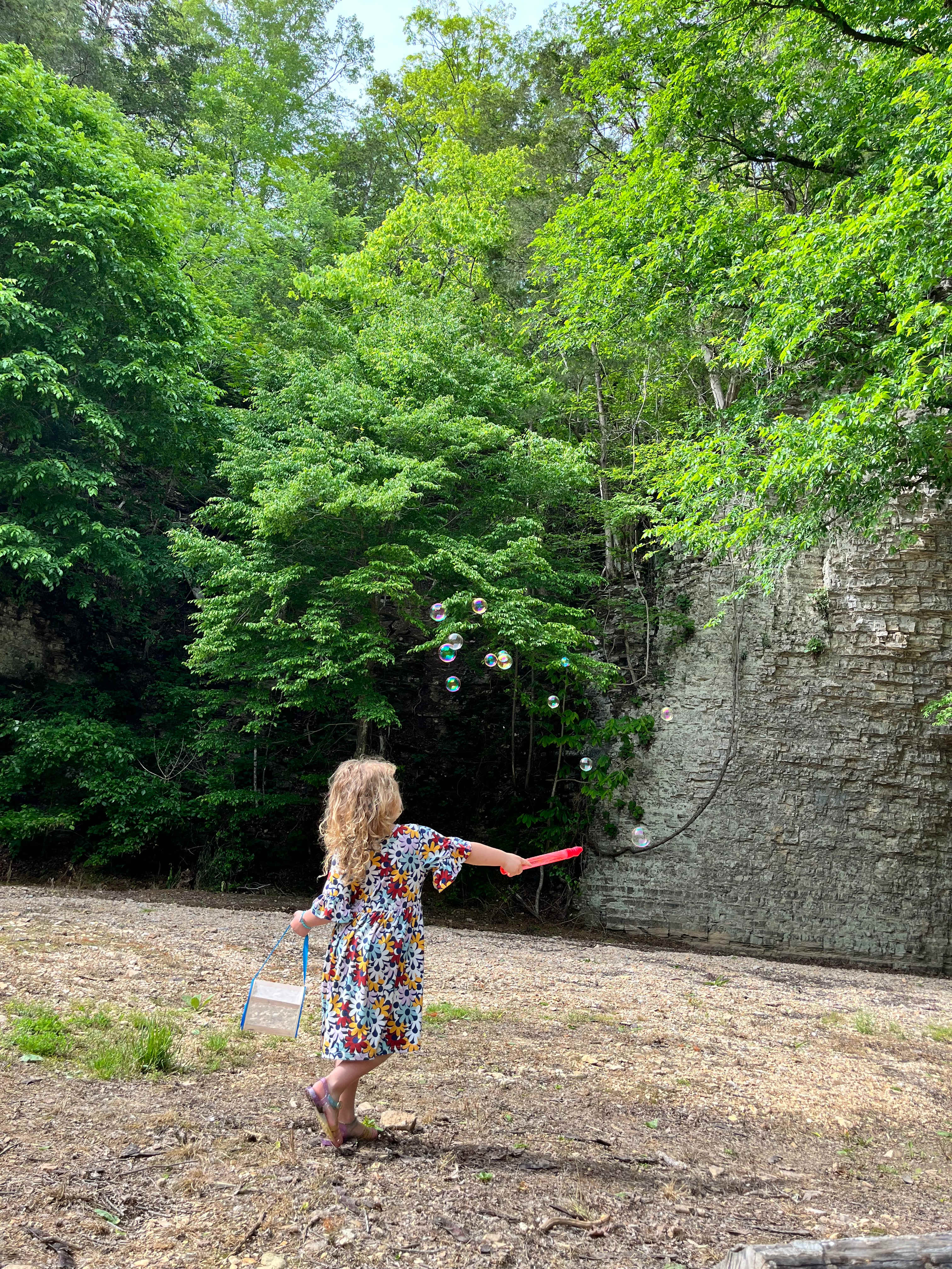 The Bluffs At Tumbling Creek