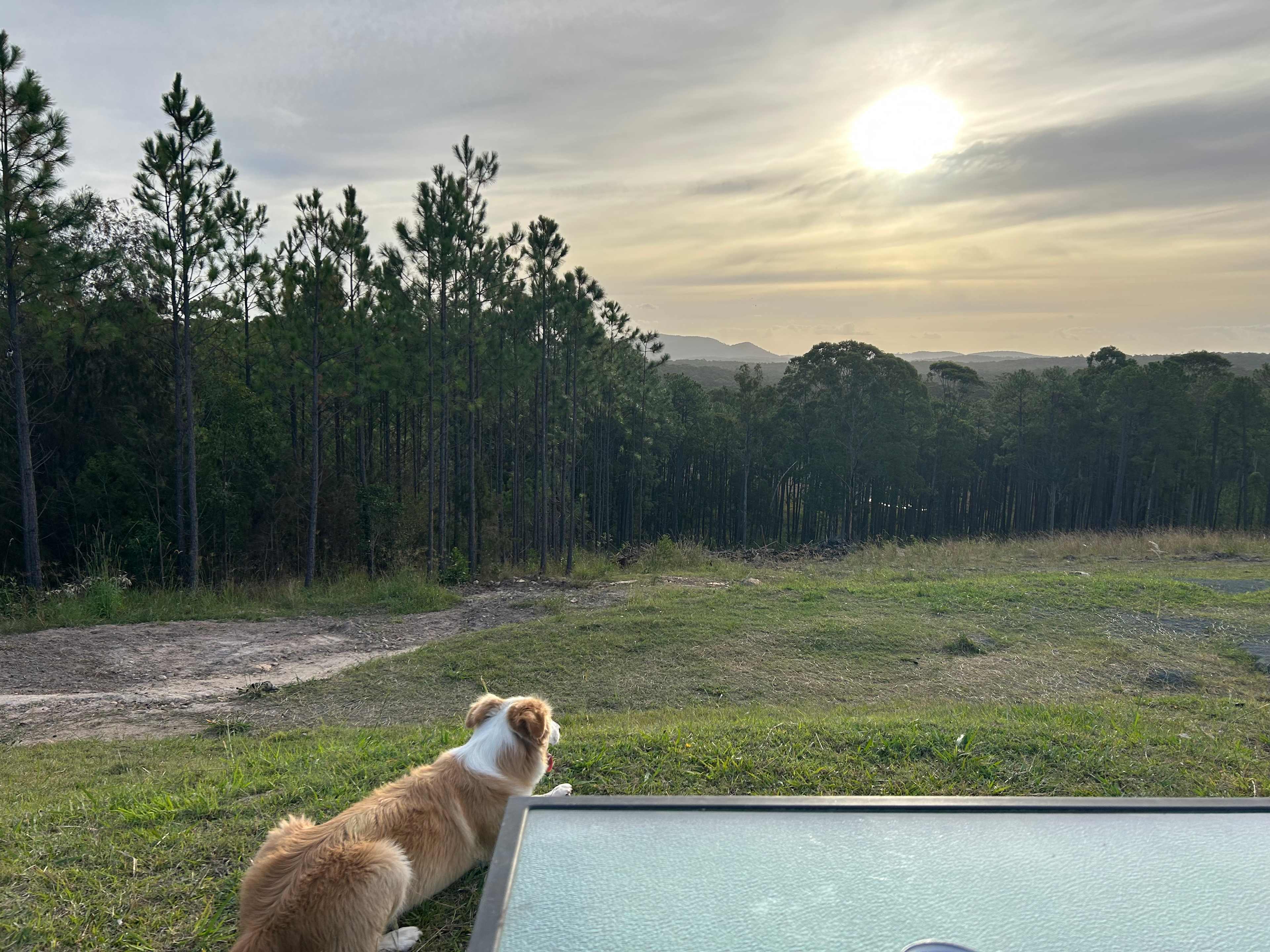 Fame Mountain Camp - pets welcome