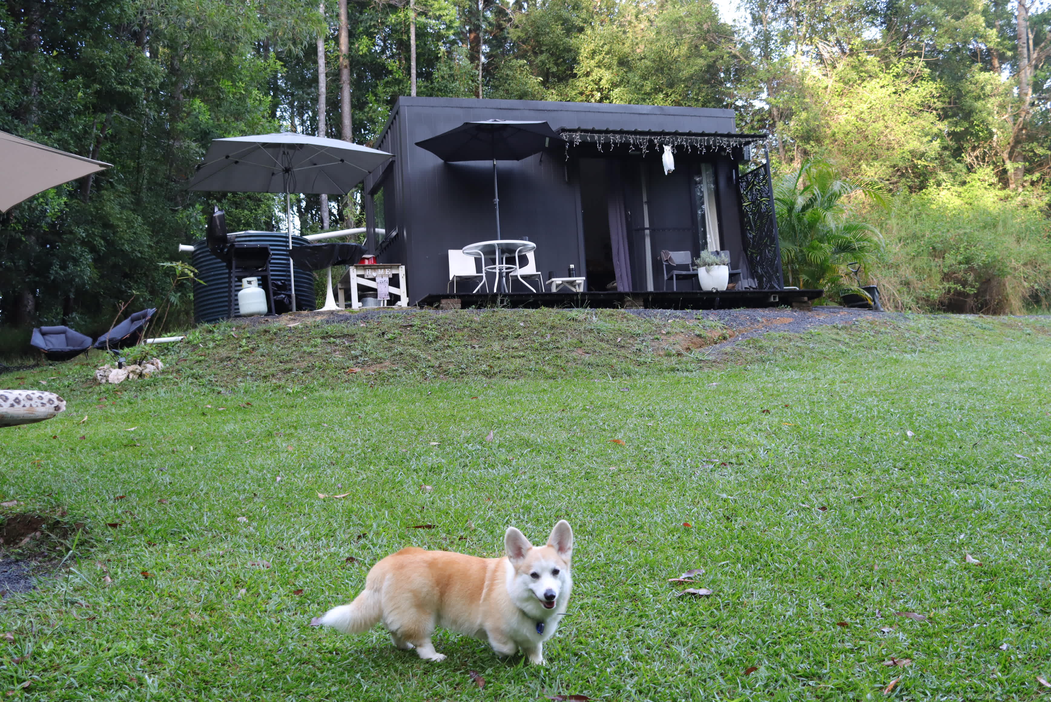 Rosewoods Eco Cabin