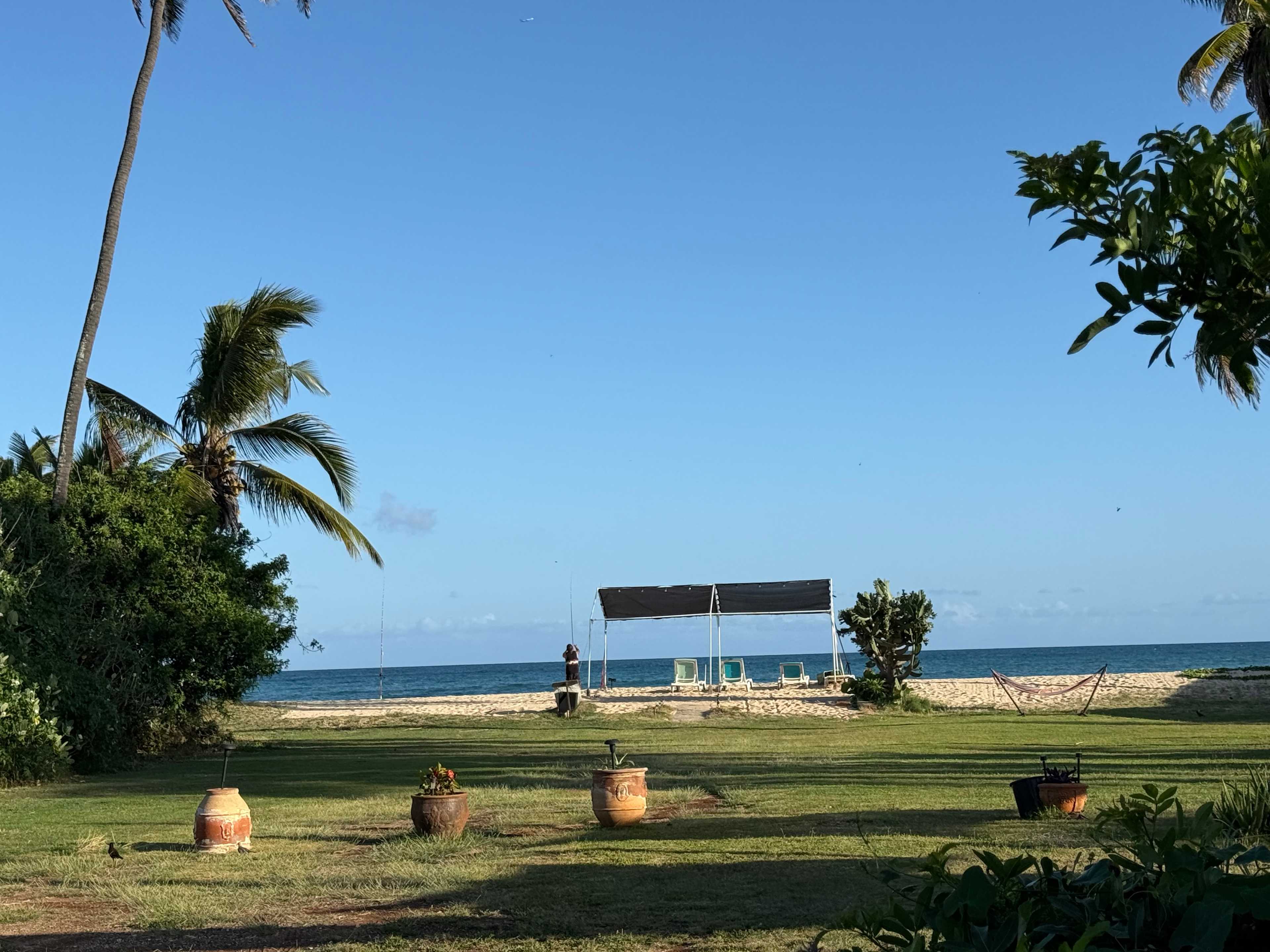 The Beach