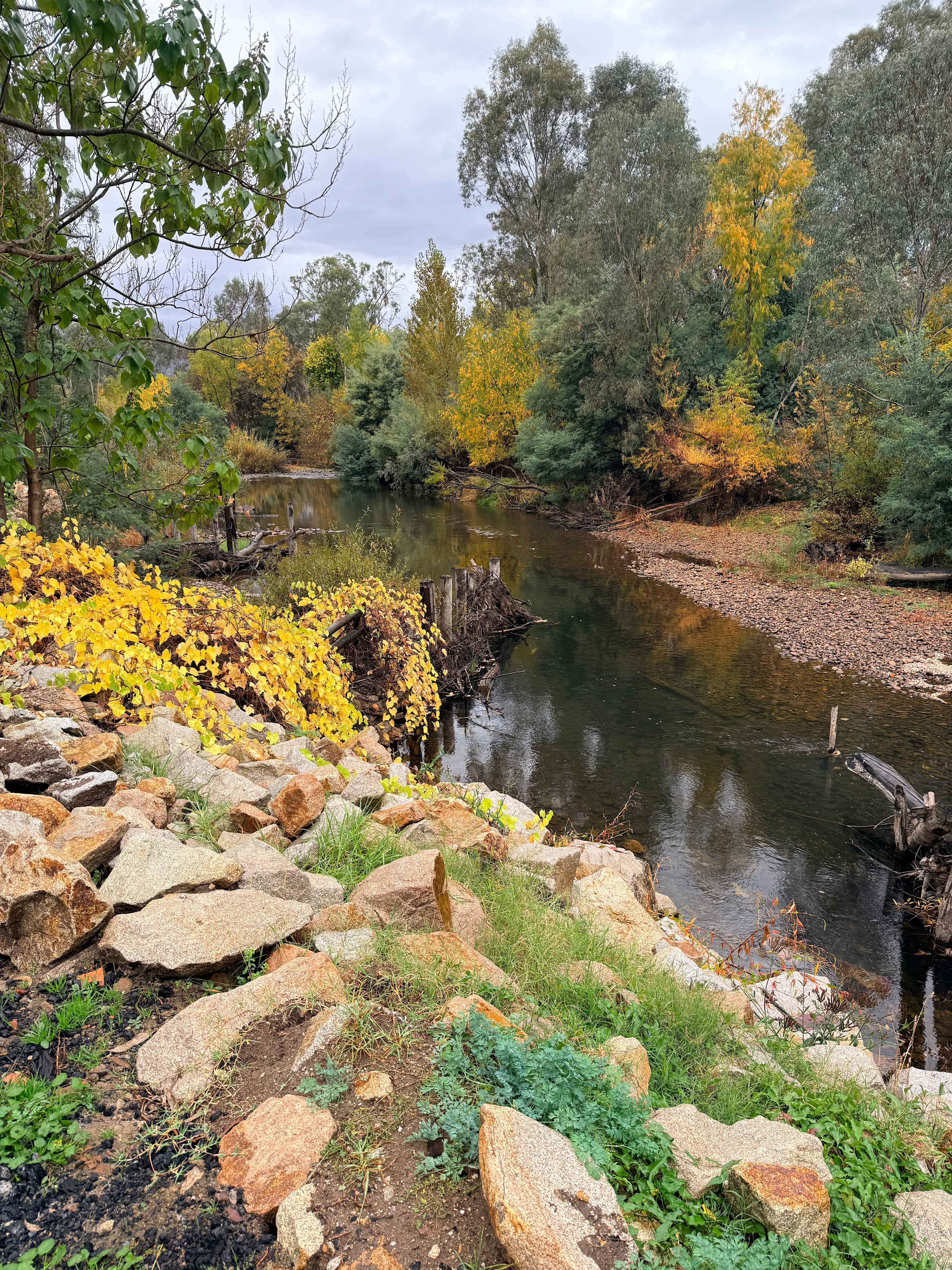 Riverside King Valley