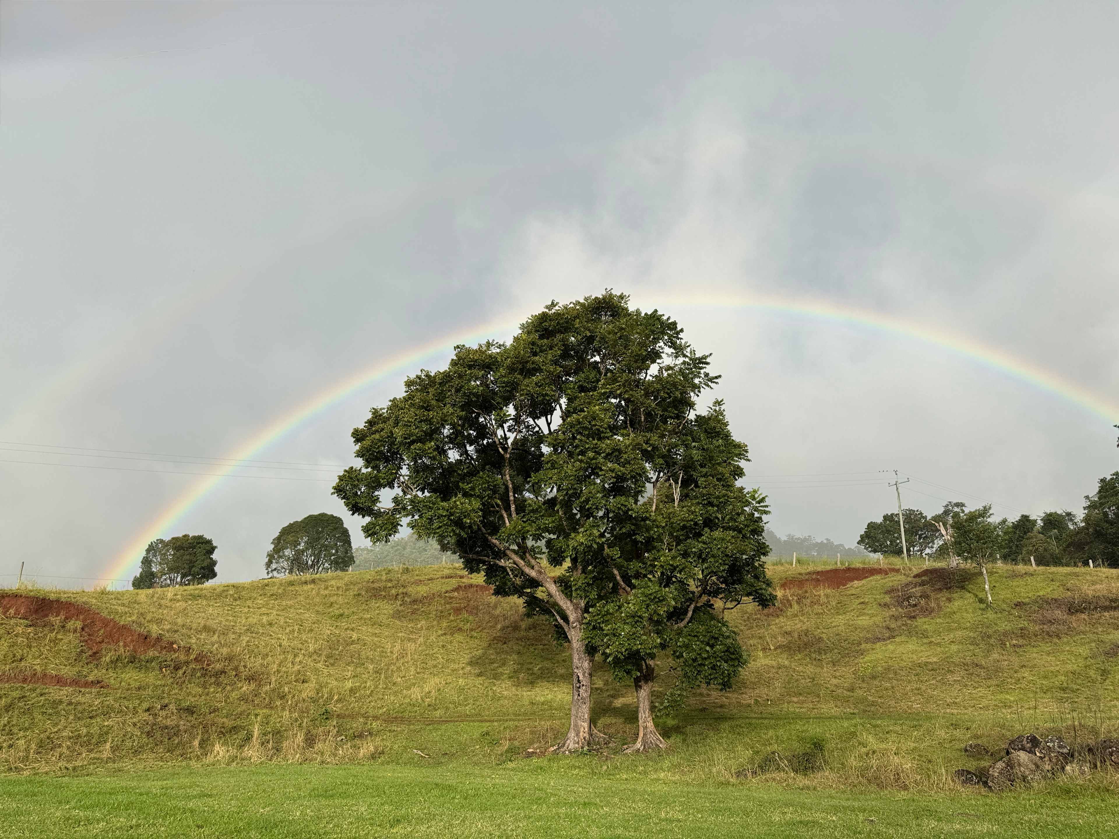 Caldera Creek Farm