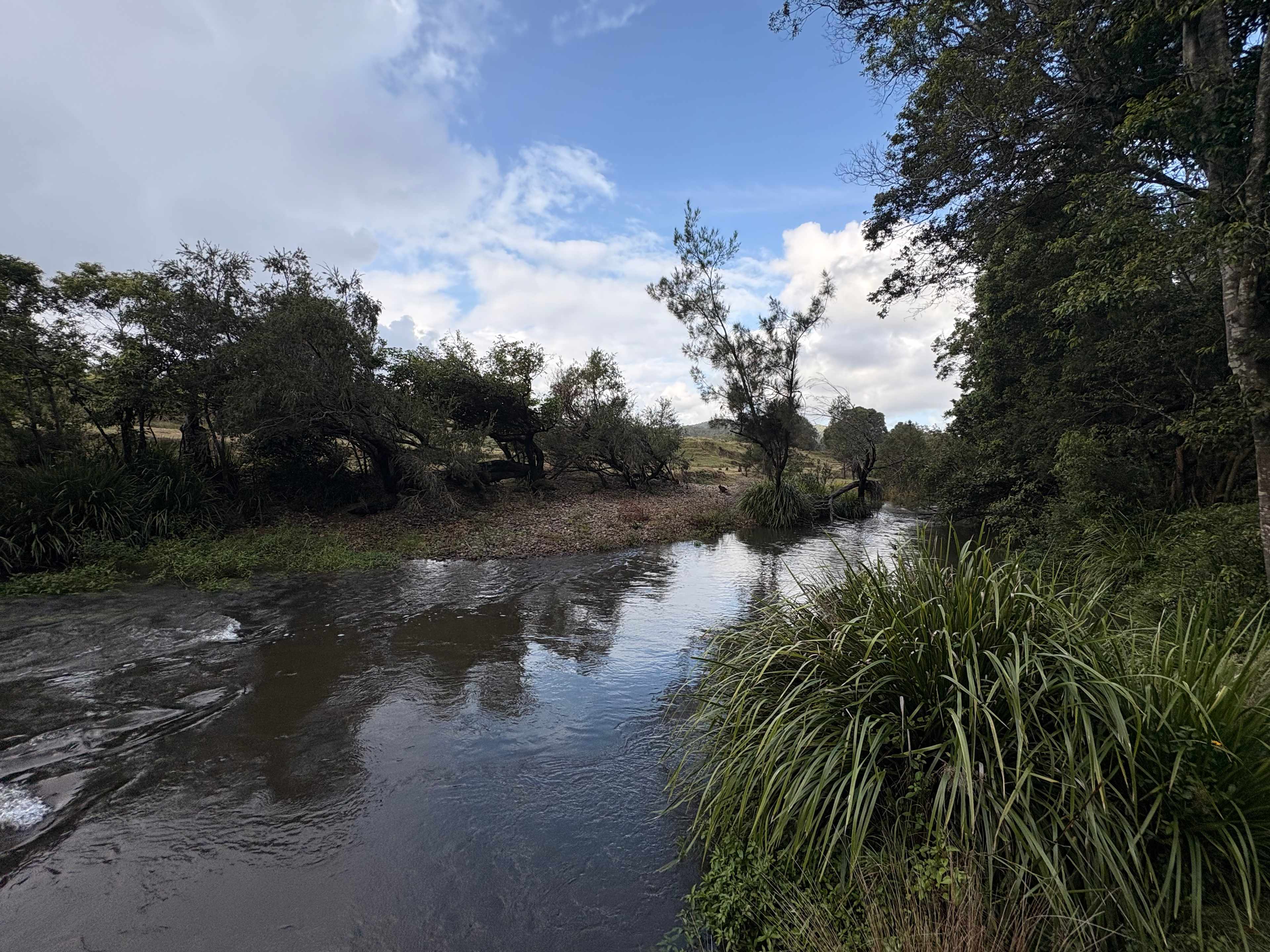 Koala Creek Camping